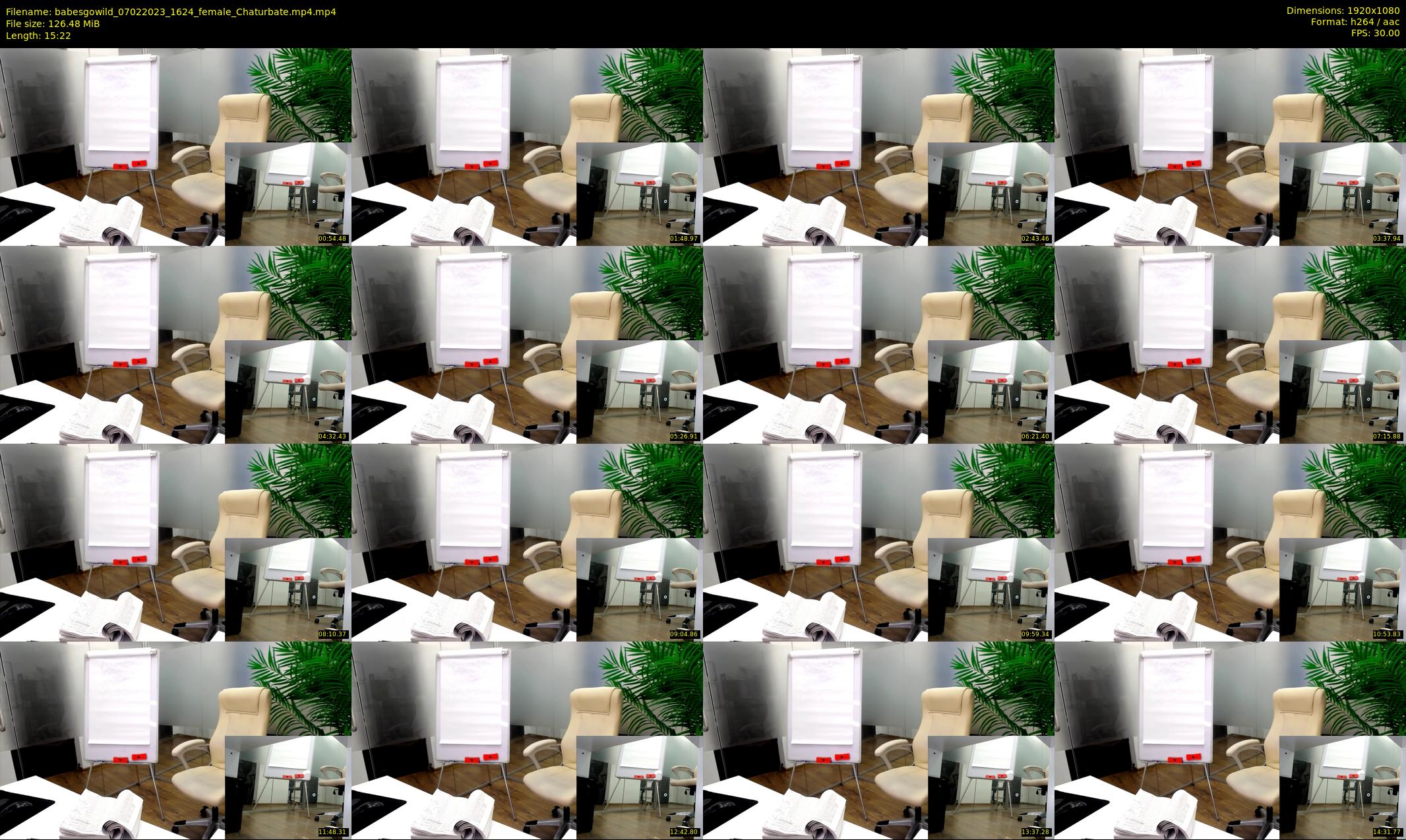 babesgowild — 16 minute Chaturbate couple cam show recording, 1080p, Feb 7, 2023