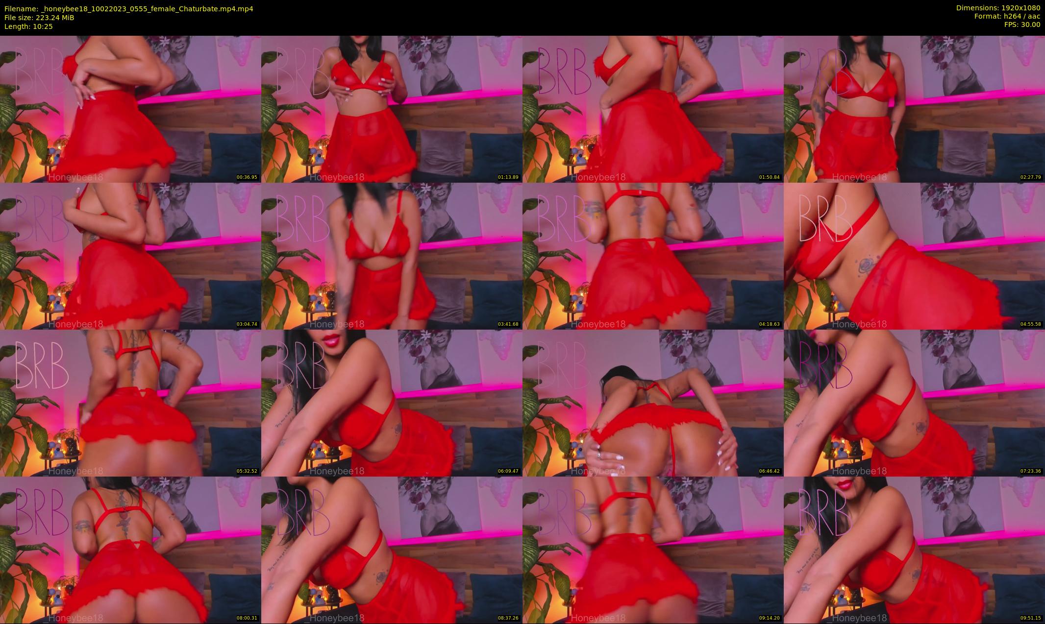 _honeybee18 — 11 minute Chaturbate female cam show recording, 1080p, Feb 10, 2023