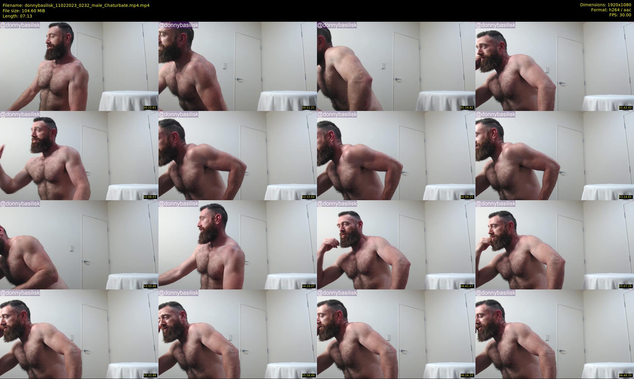 donnybasilisk — 8 minute Chaturbate male cam show recording, 1080p, Feb 11, 2023