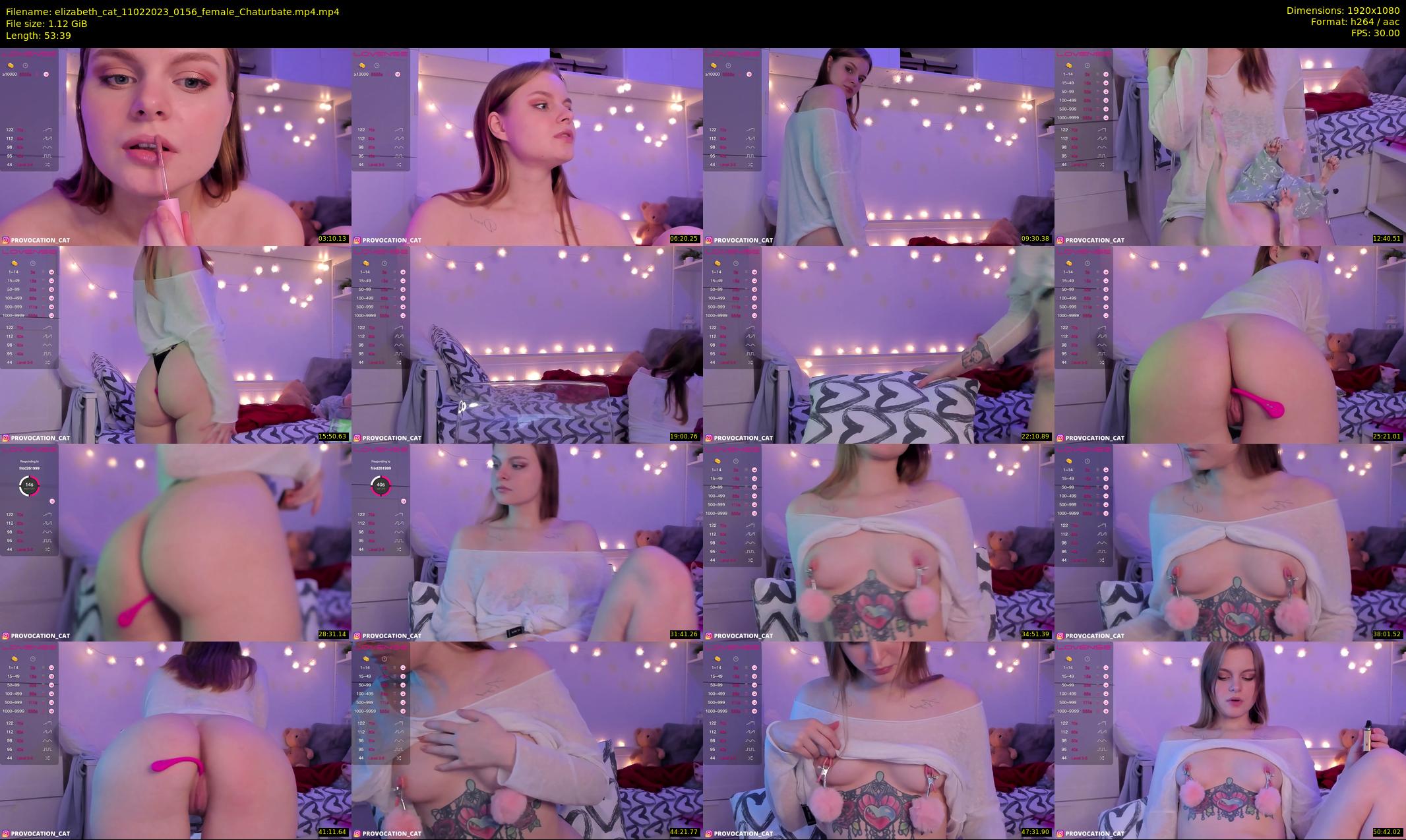 elizabeth_cat — 54 minute Chaturbate female cam show recording, 1080p, Feb 11, 2023