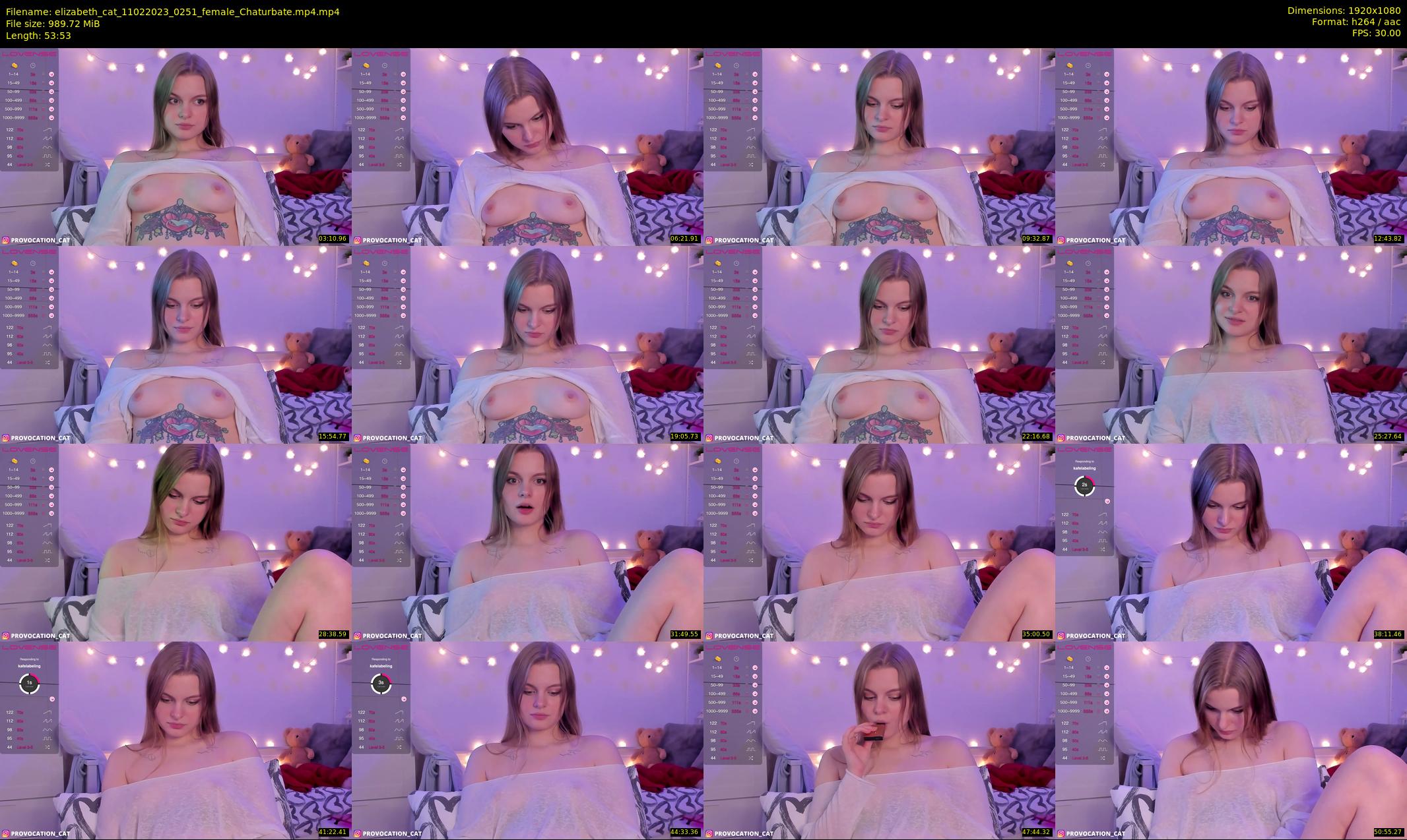 elizabeth_cat — 54 minute Chaturbate female cam show recording, 1080p, Feb 11, 2023