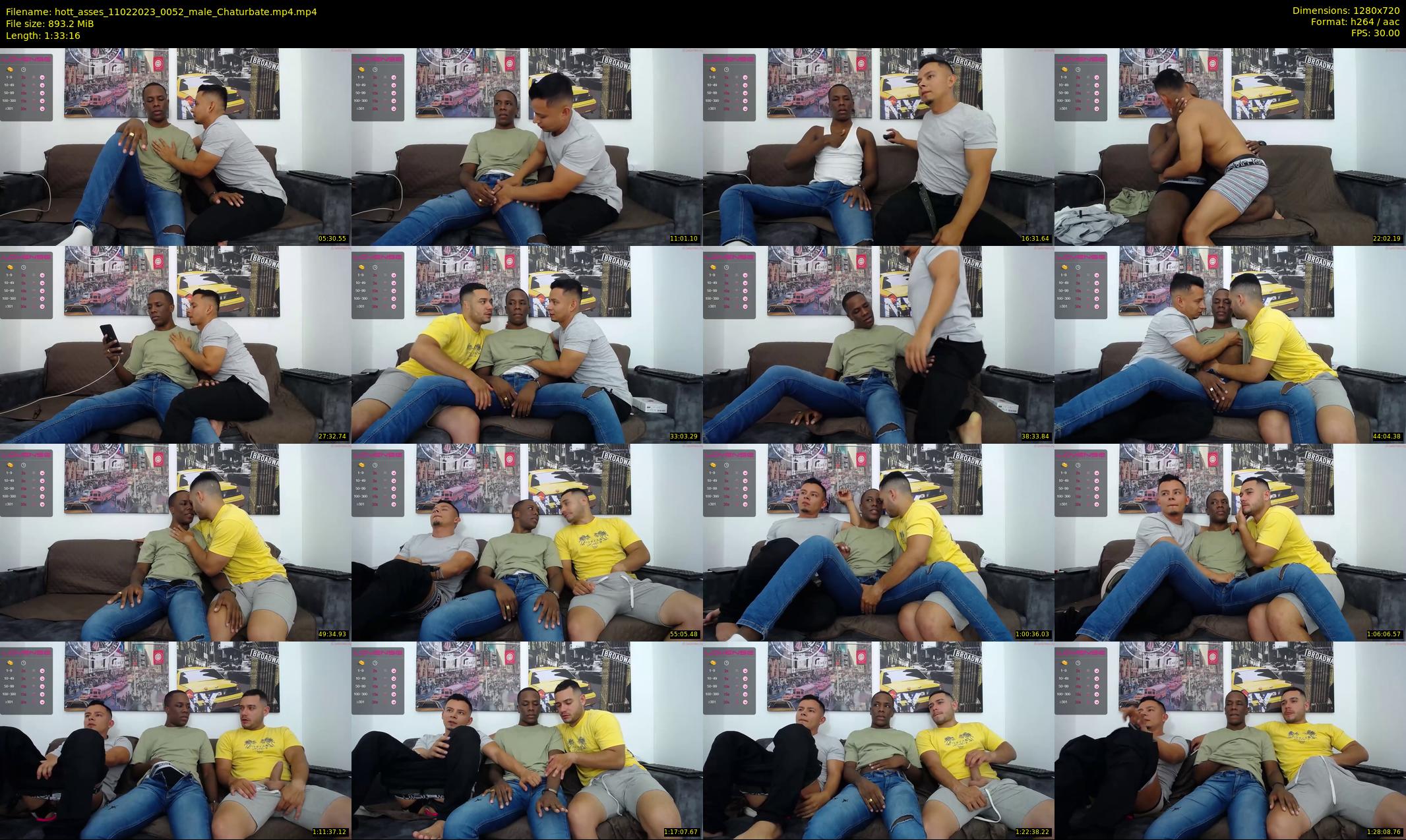 hott_asses — 94 minute Chaturbate male cam show recording, 720p, Feb 11, 2023