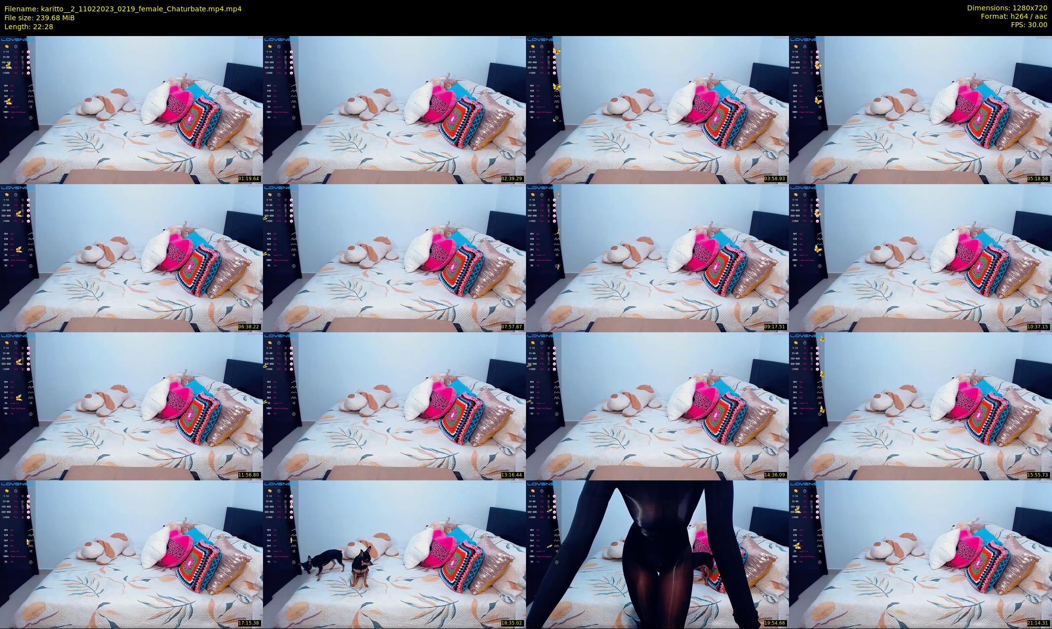 karitto__2 — 23 minute Chaturbate female cam show recording, 720p, Feb 11, 2023