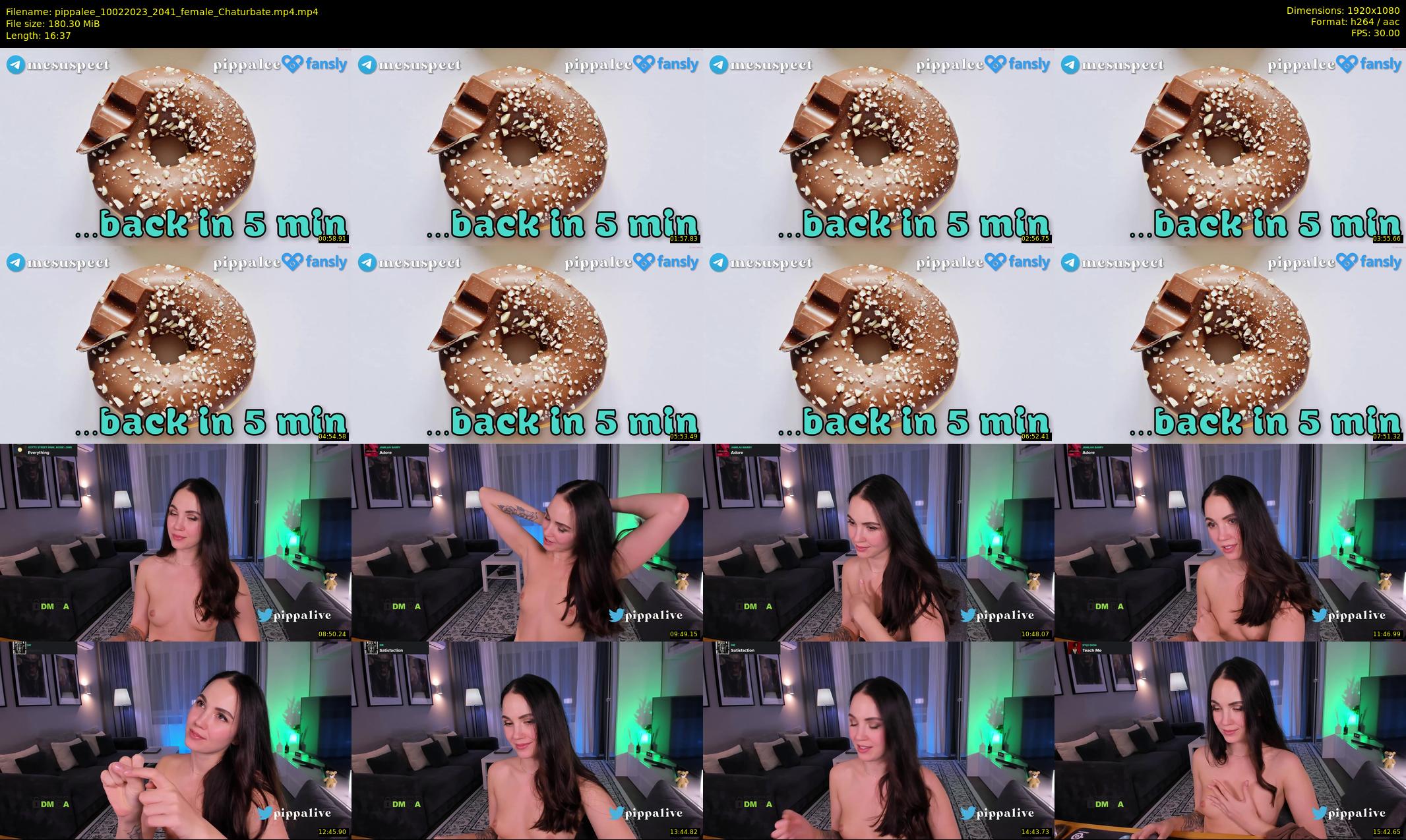 pippalee — 17 minute Chaturbate female cam show recording, 1080p, Feb 10, 2023