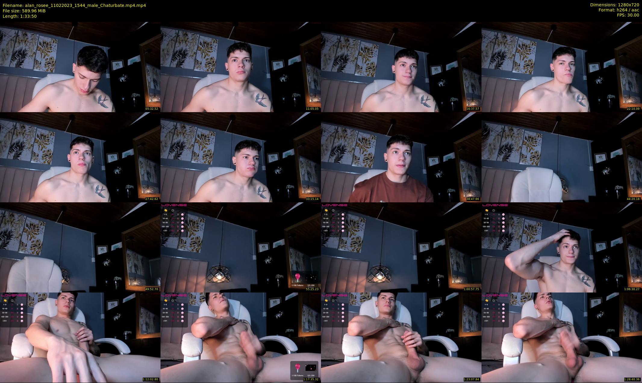 alan_rosee — 94 minute Chaturbate male cam show recording, 720p, Feb 11, 2023