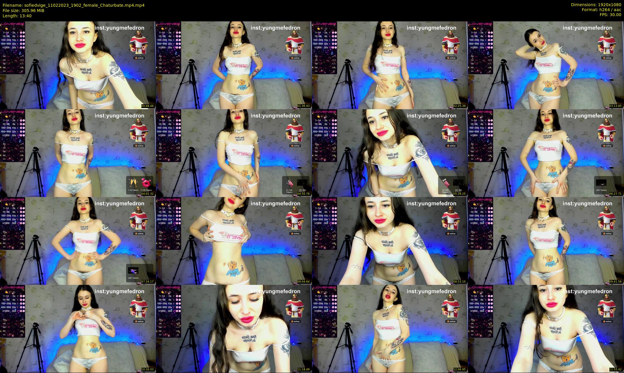 sofiedvige — 14 minute Chaturbate couple cam show recording, 1080p, Feb 11, 2023