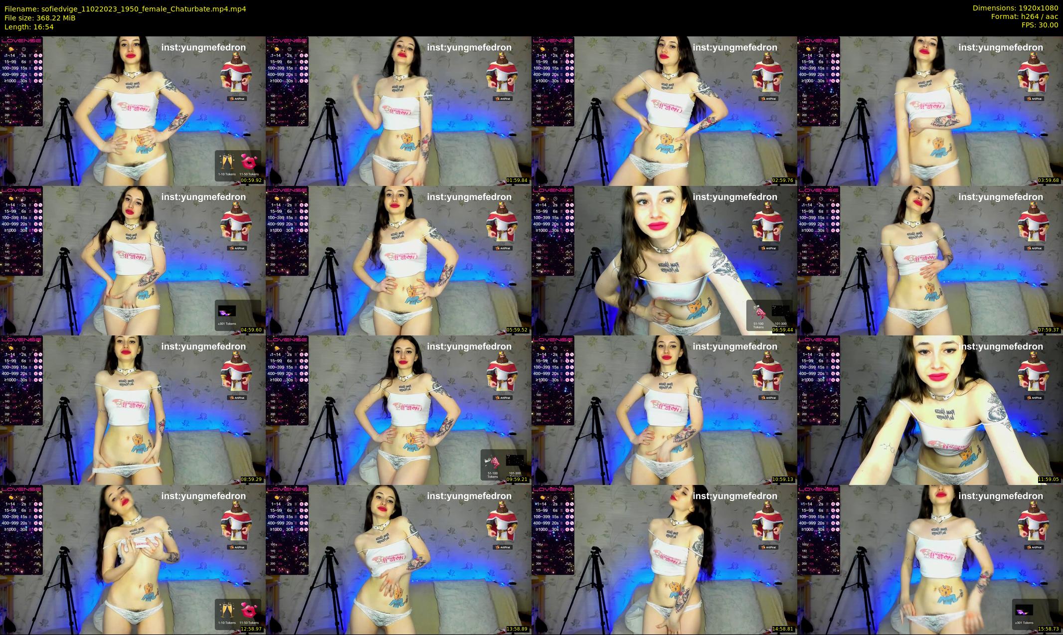 sofiedvige — 17 minute Chaturbate couple cam show recording, 1080p, Feb 11, 2023