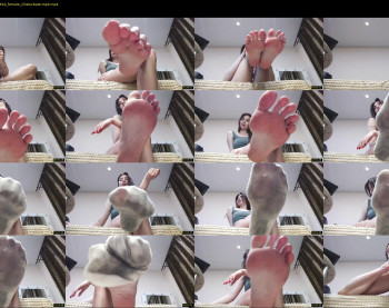 black_alex_ — 30 minute Chaturbate couple cam show recording, 720p, Feb 12, 2023