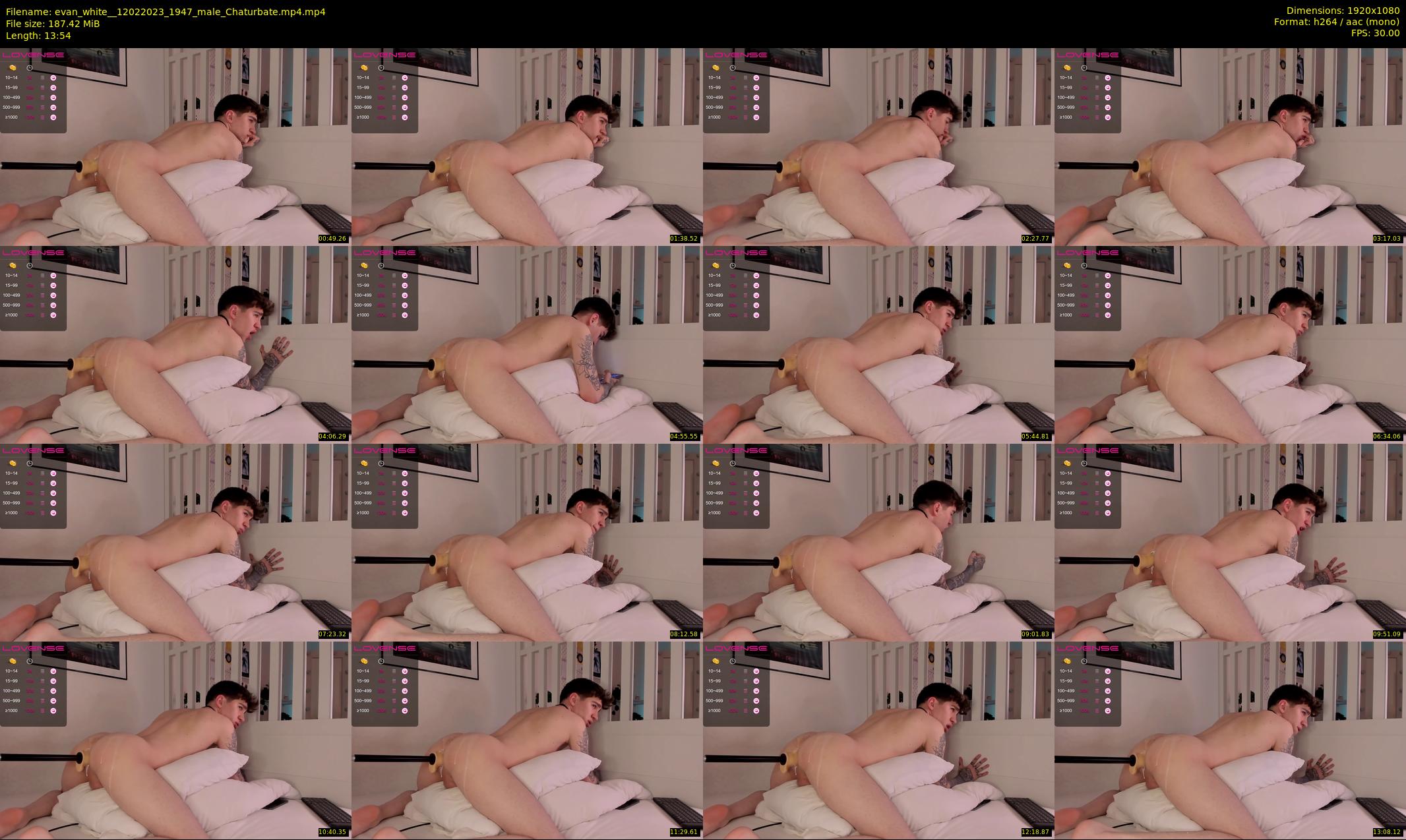 evan_white_ — 14 minute Chaturbate male cam show recording, 1080p, Feb 12, 2023