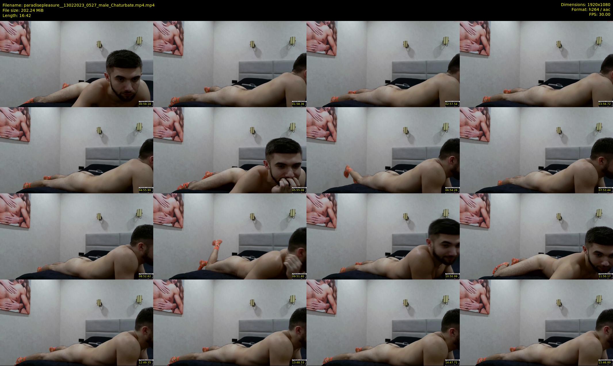 paradisepleasure_ — 17 minute Chaturbate couple cam show recording, 1080p, Feb 13, 2023