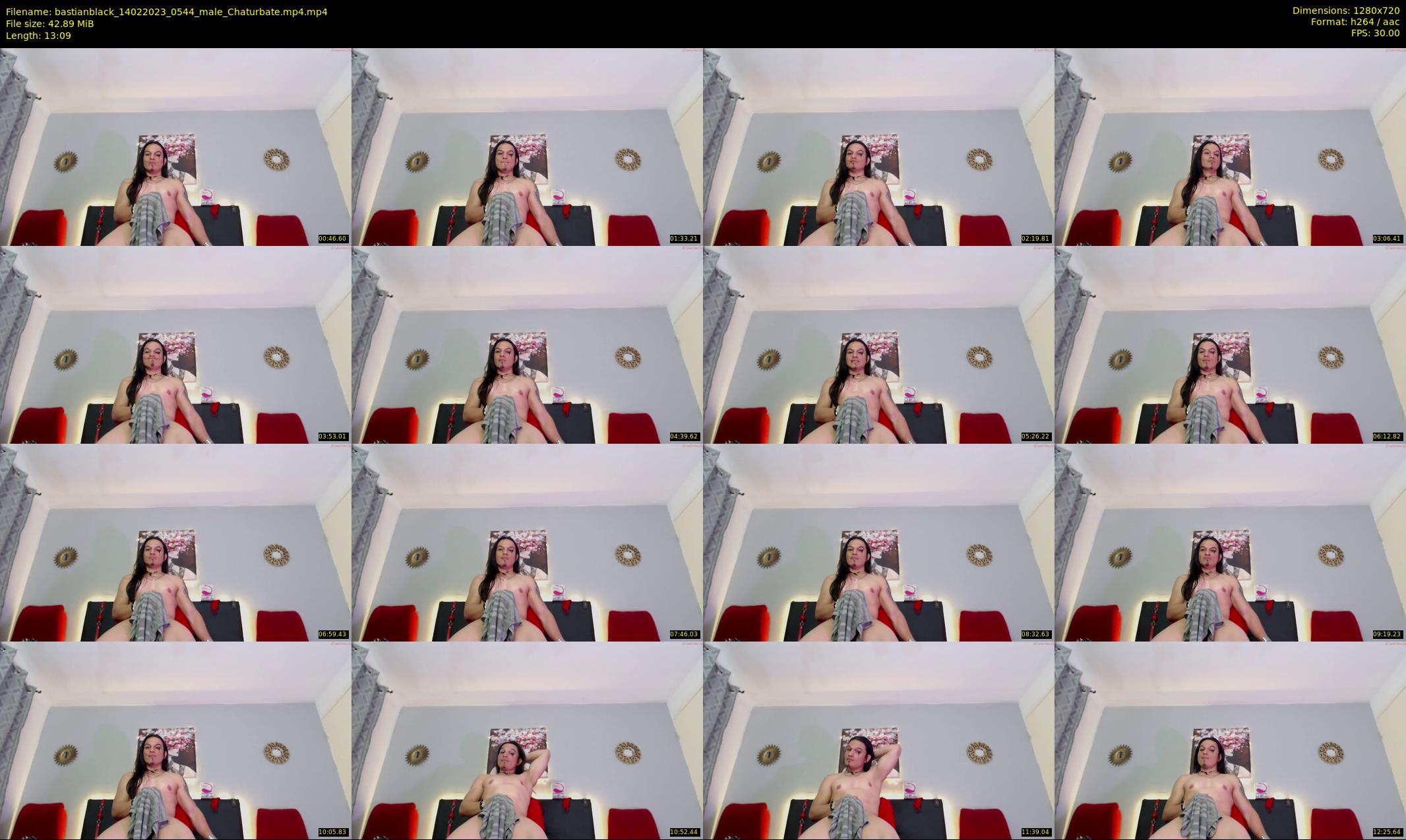 bastianblack — 14 minute Chaturbate male cam show recording, 720p, Feb 14, 2023