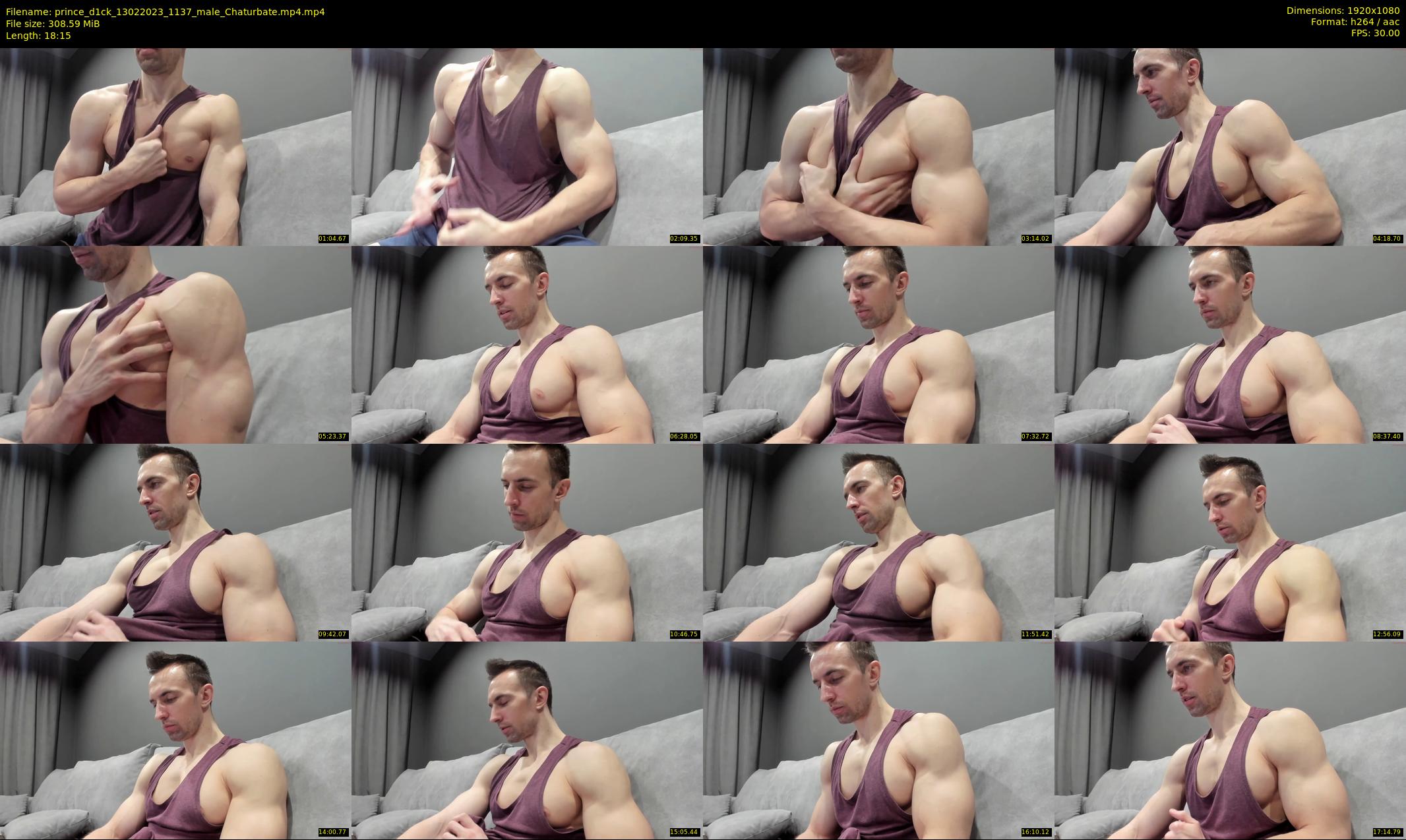 prince_d1ck — 19 minute Chaturbate male cam show recording, 1080p, Feb 13, 2023
