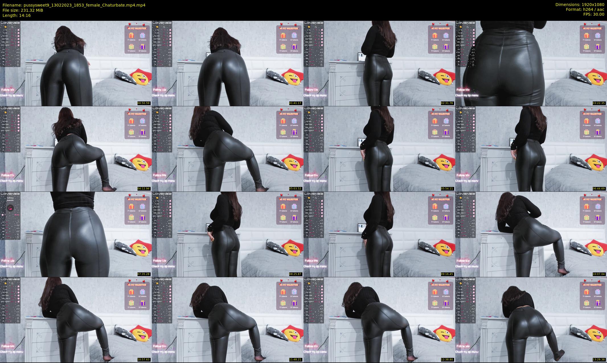 pussysweet9 — 15 minute Chaturbate female cam show recording, 1080p, Feb 13, 2023