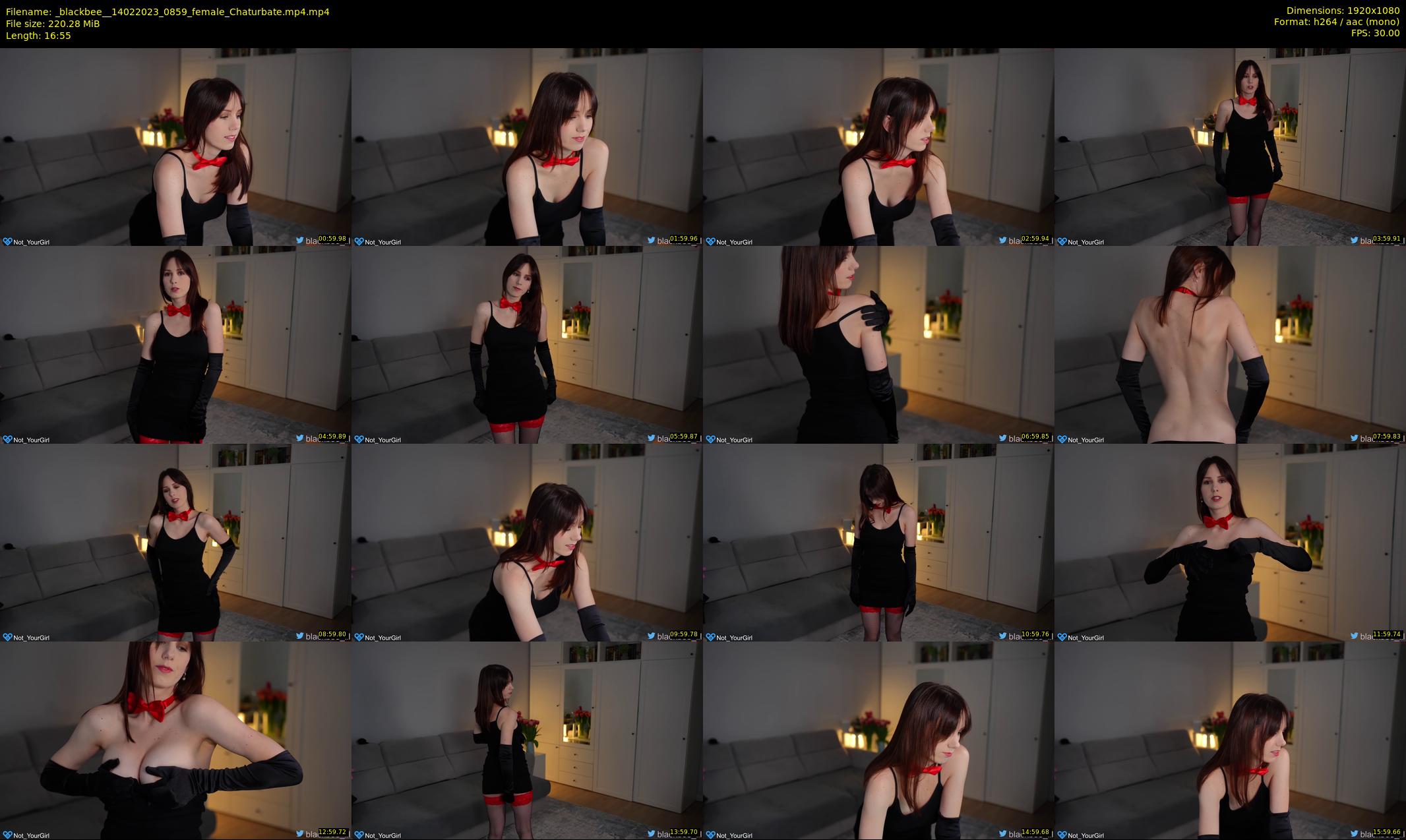 _blackbee_ — 17 minute Chaturbate female cam show recording, 1080p, Feb 14, 2023