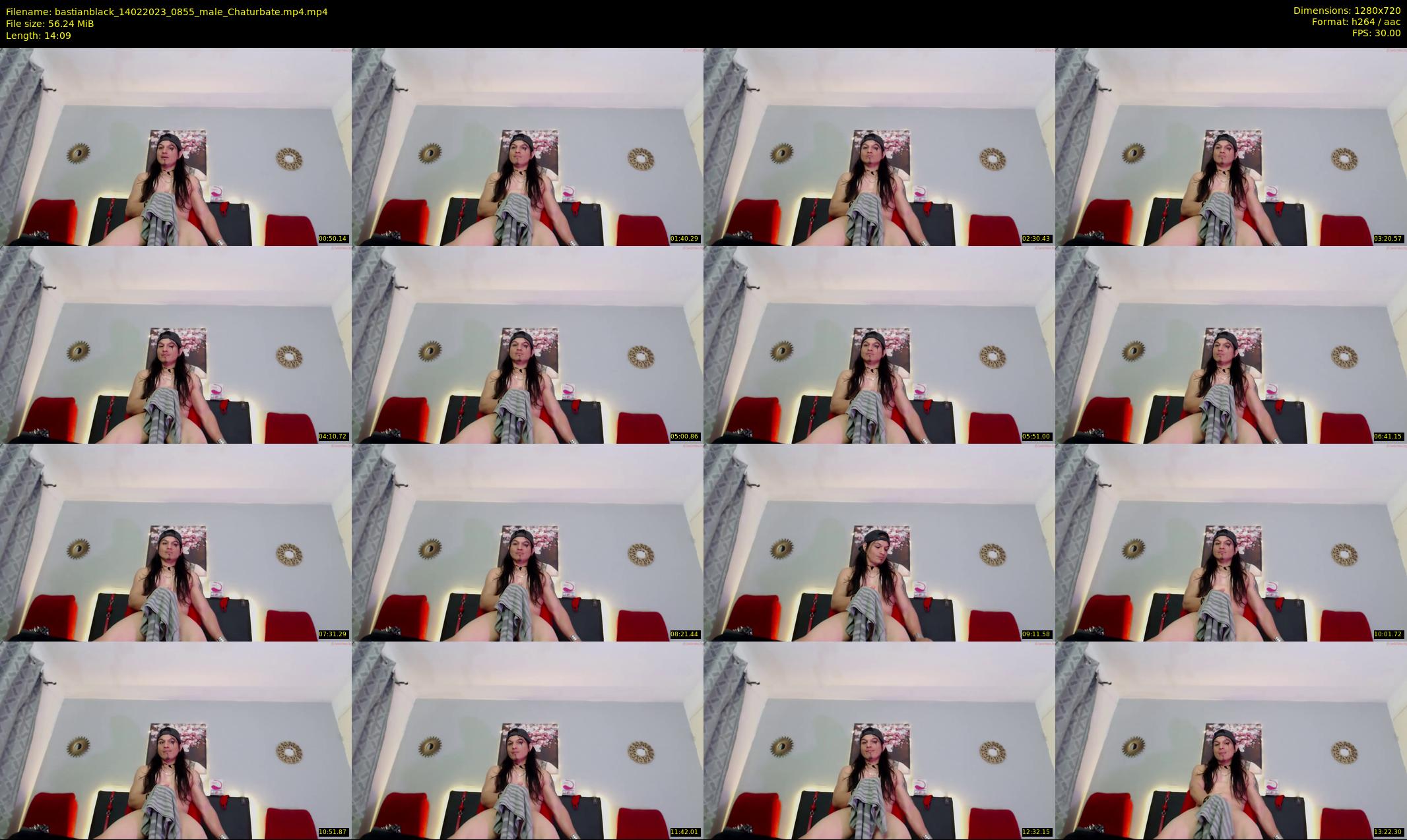 bastianblack — 15 minute Chaturbate male cam show recording, 720p, Feb 14, 2023