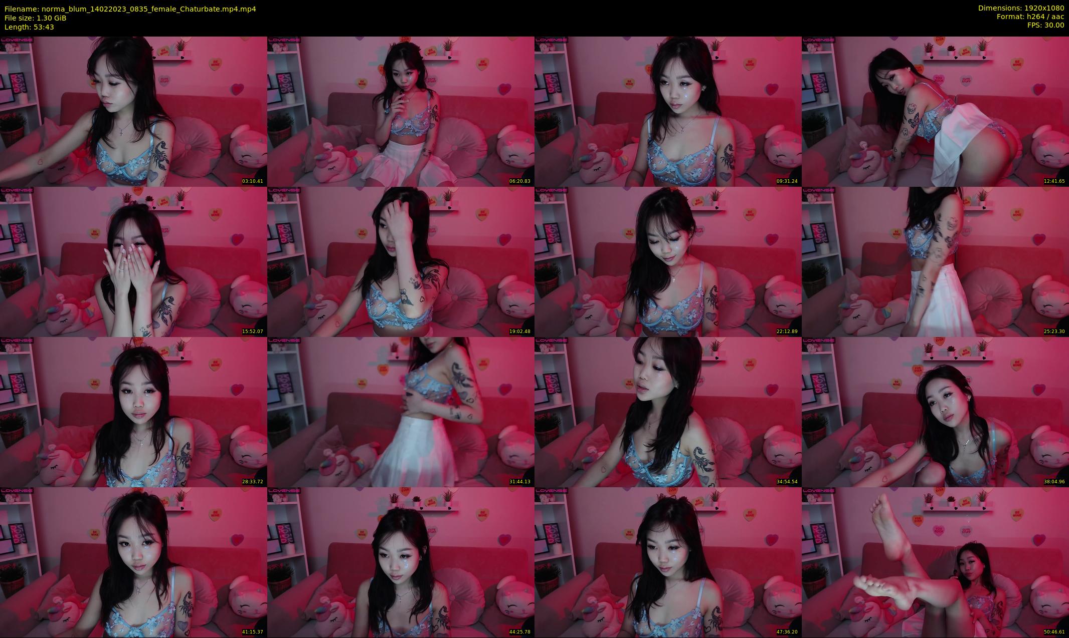 norma_blum — 54 minute Chaturbate female cam show recording, 1080p, Feb 14, 2023