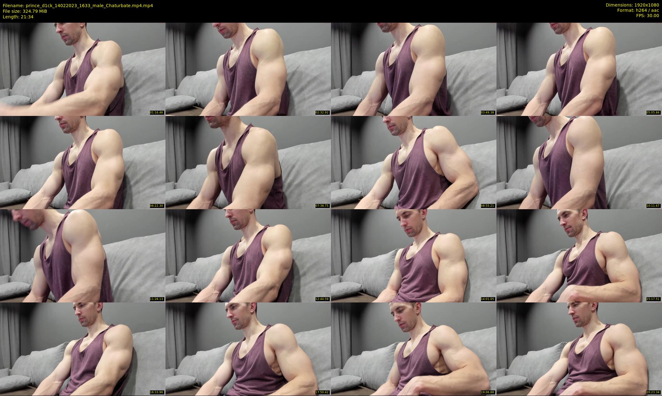 prince_d1ck — 22 minute Chaturbate male cam show recording, 1080p, Feb 14, 2023