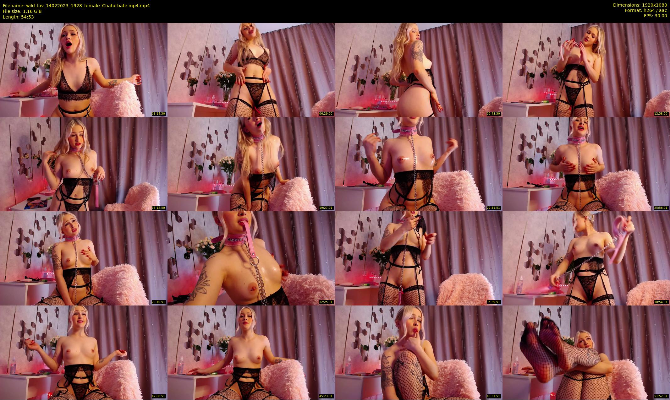 wild_lov — 55 minute Chaturbate female cam show recording, 1080p, Feb 14, 2023