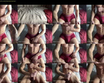 bestdick1991 — 15 minute Chaturbate male cam show recording, 720p, Feb 17, 2023