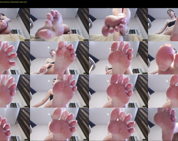 black_alex_ — 8 minute Chaturbate couple cam show recording, 720p, Feb 16, 2023