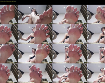 black_alex_ — 12 minute Chaturbate couple cam show recording, 720p, Feb 16, 2023