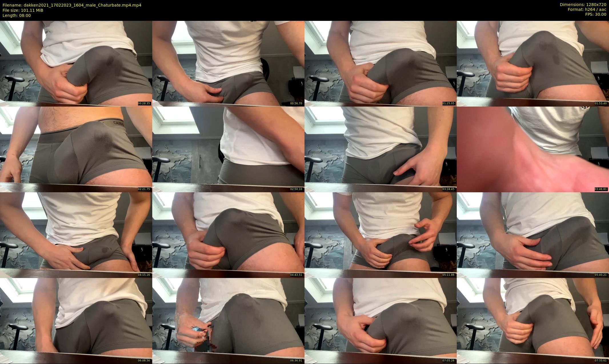 dakken2021 — 8 minute Chaturbate male cam show recording, 720p, Feb 17, 2023