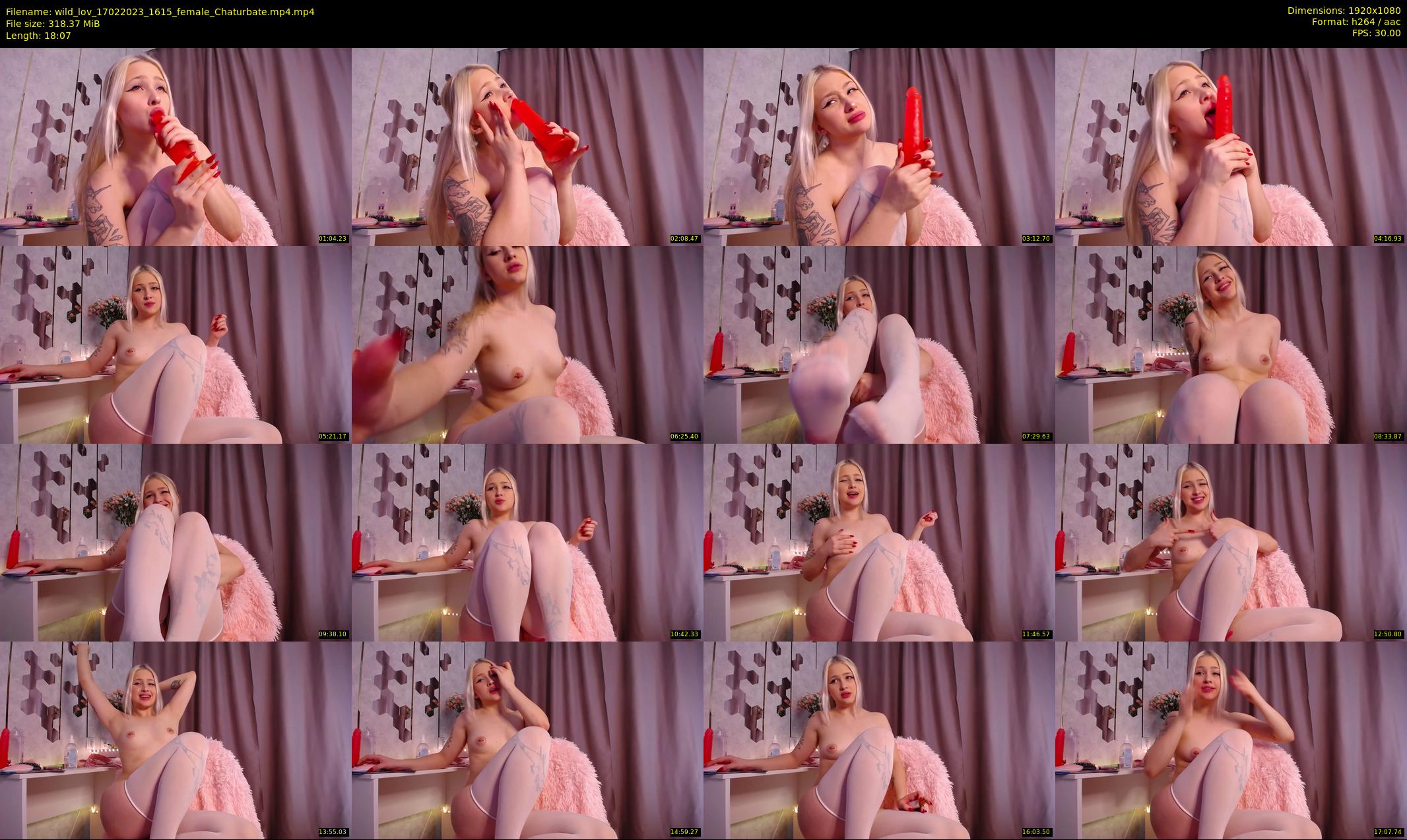 wild_lov — 19 minute Chaturbate female cam show recording, 1080p, Feb 17, 2023