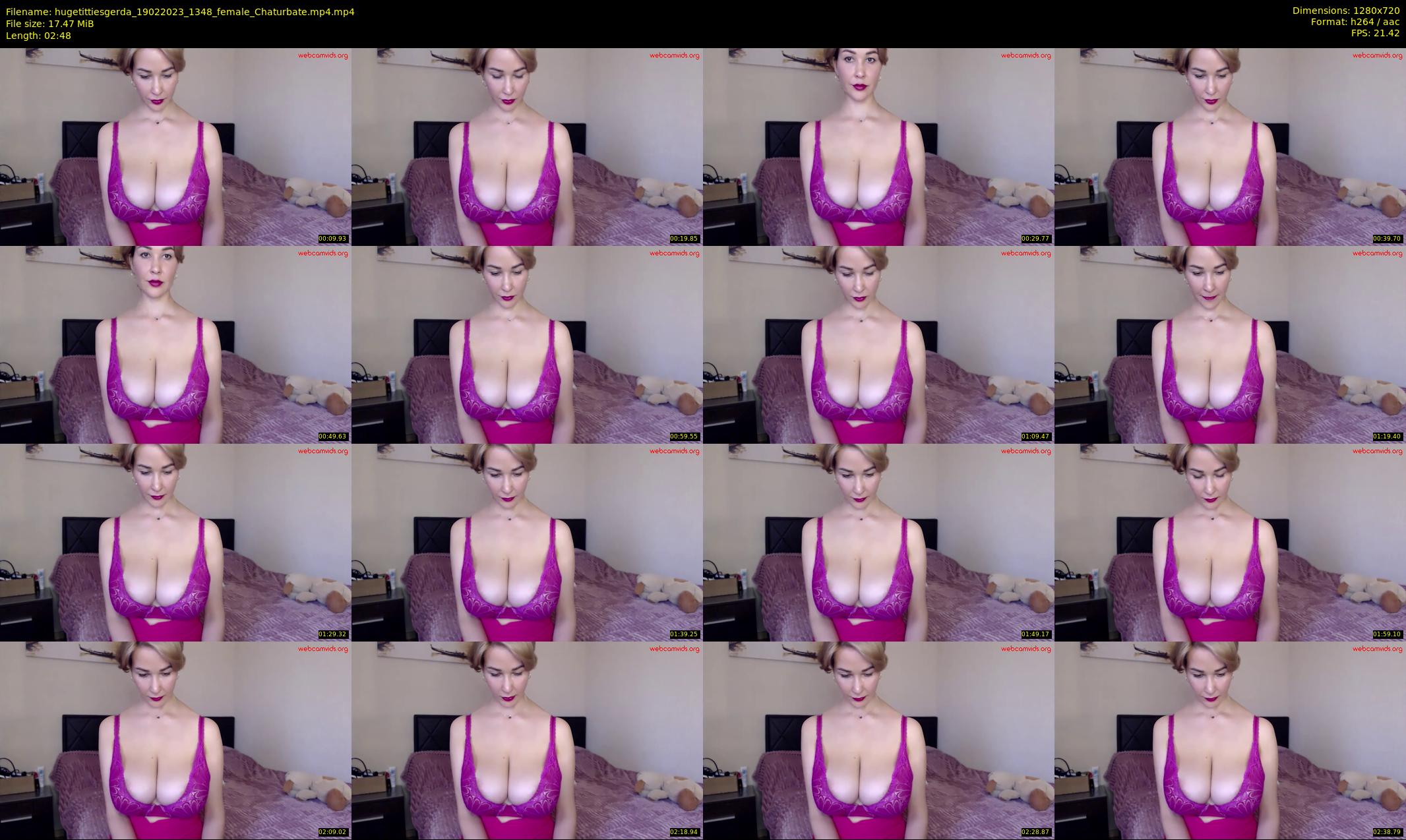 hugetittiesgerda — 3 minute Chaturbate female cam show recording, 720p, Feb 19, 2023