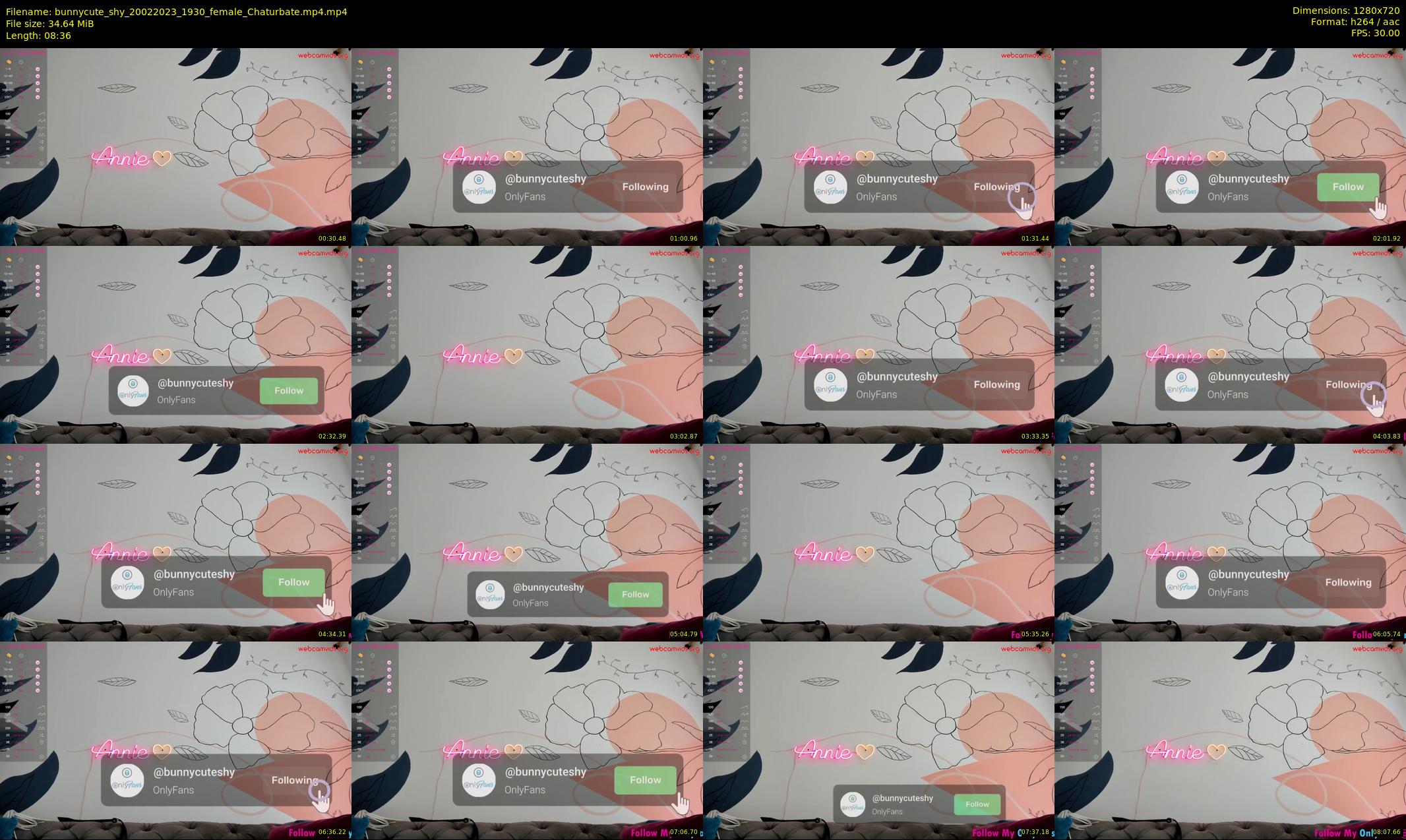 bunnycute_shy — 9 minute Chaturbate female cam show recording, 720p, Feb 20, 2023