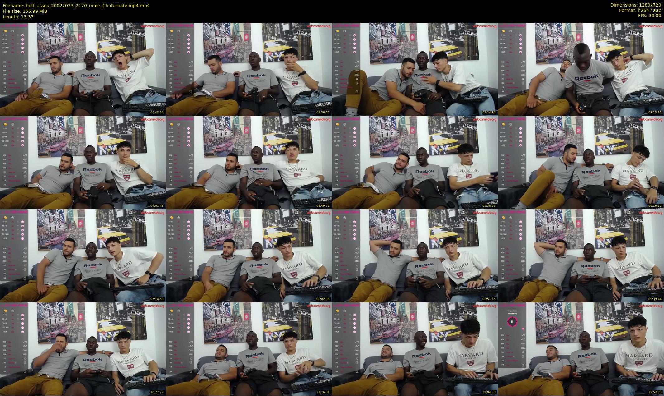 hott_asses — 14 minute Chaturbate male cam show recording, 720p, Feb 20, 2023