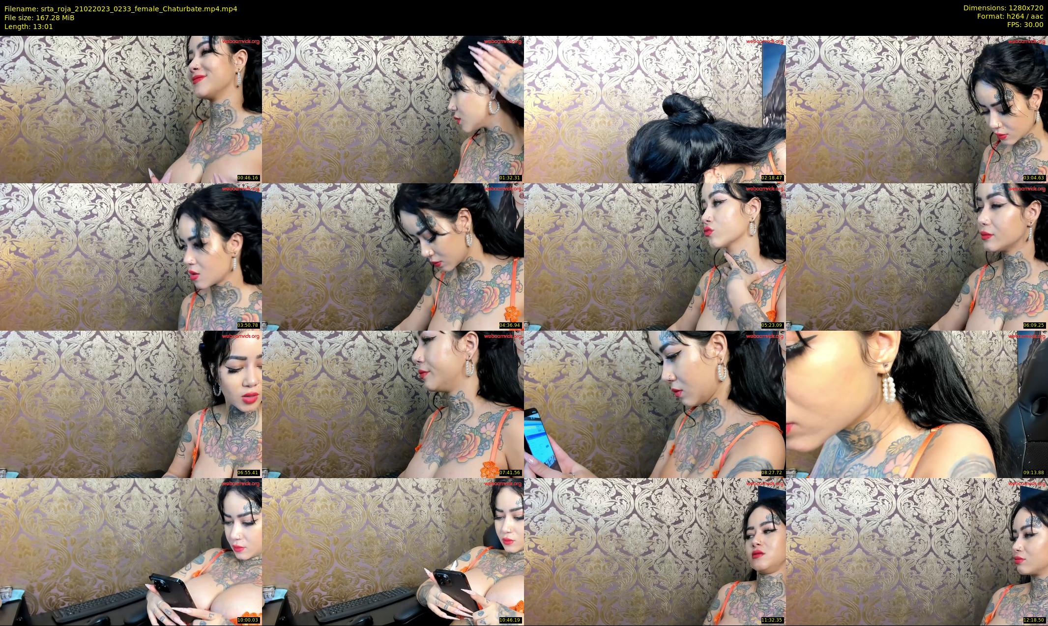 srta_roja — 14 minute Chaturbate female cam show recording, 720p, Feb 21, 2023