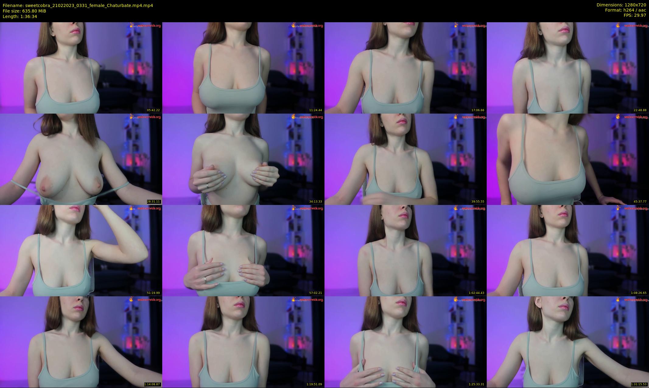 sweetcobra — 97 minute Chaturbate female cam show recording, 720p, Feb 21, 2023