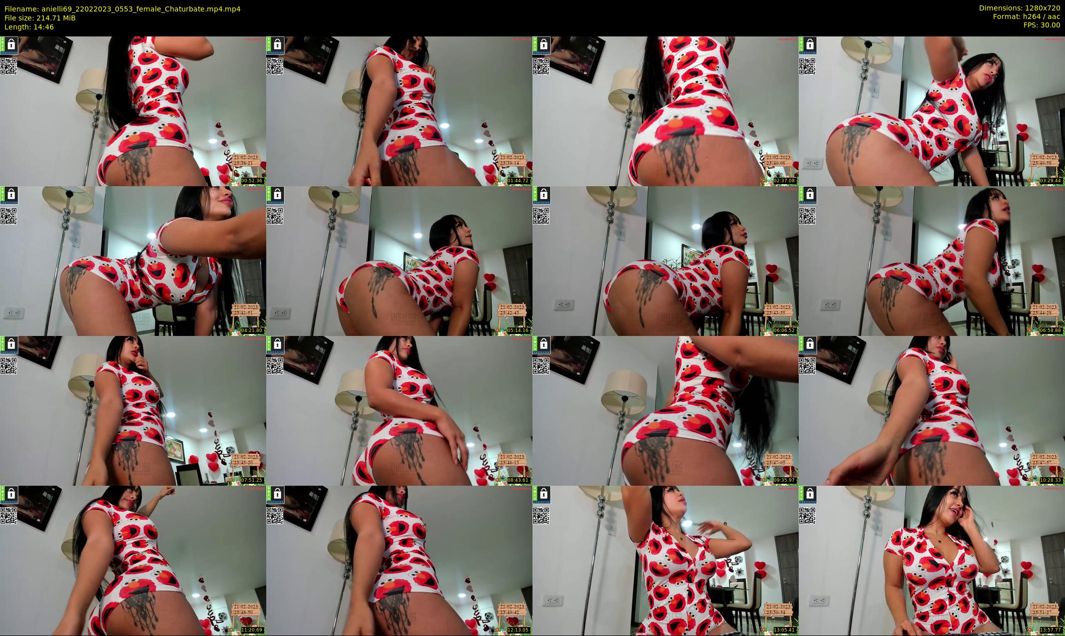 anielli69 — 15 minute Chaturbate female cam show recording, 720p, Feb 22, 2023