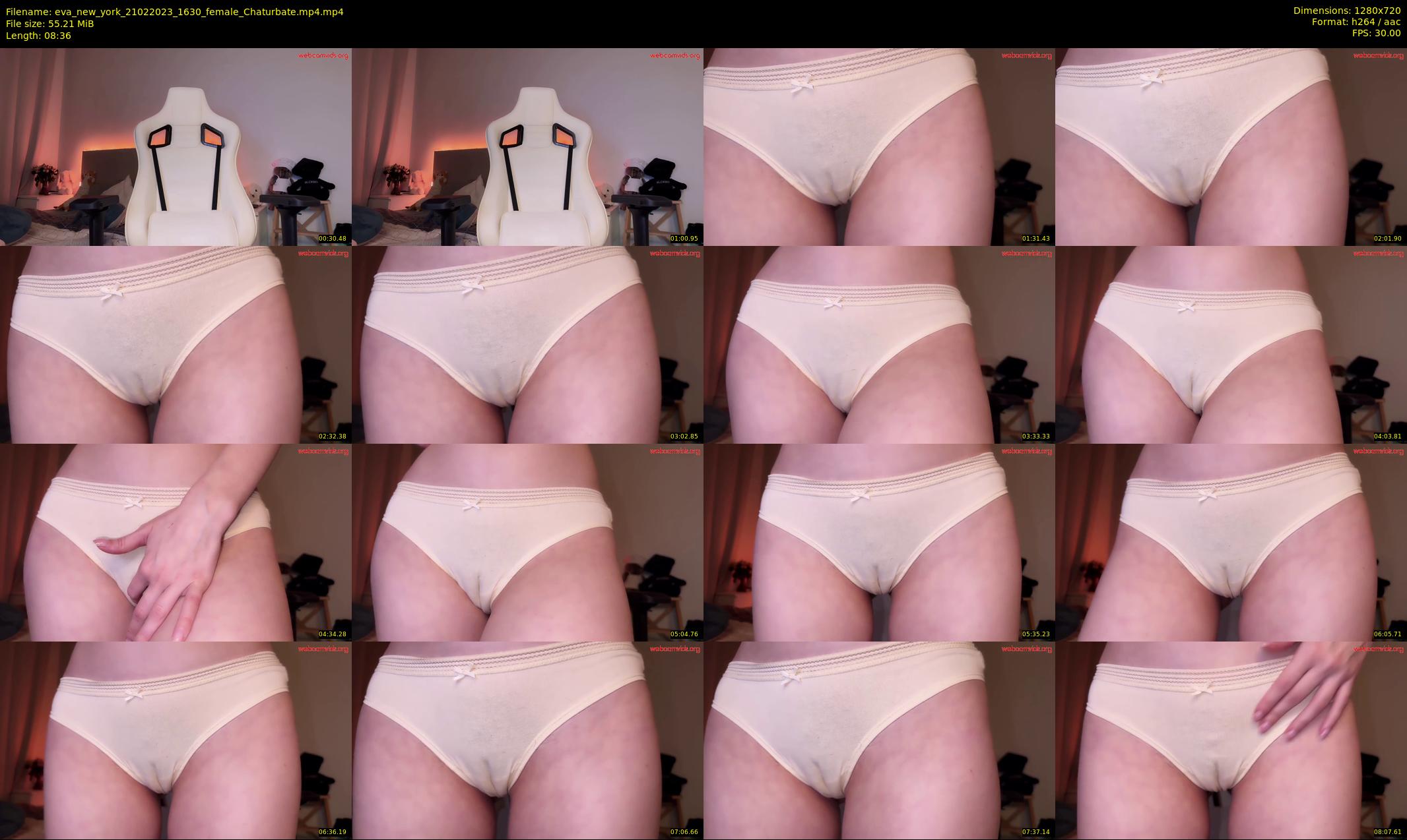 eva_new_york — 9 minute Chaturbate female cam show recording, 720p, Feb 21, 2023