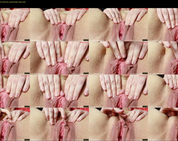 kittykay86 — 3 minute Chaturbate female cam show recording, 720p, Feb 21, 2023