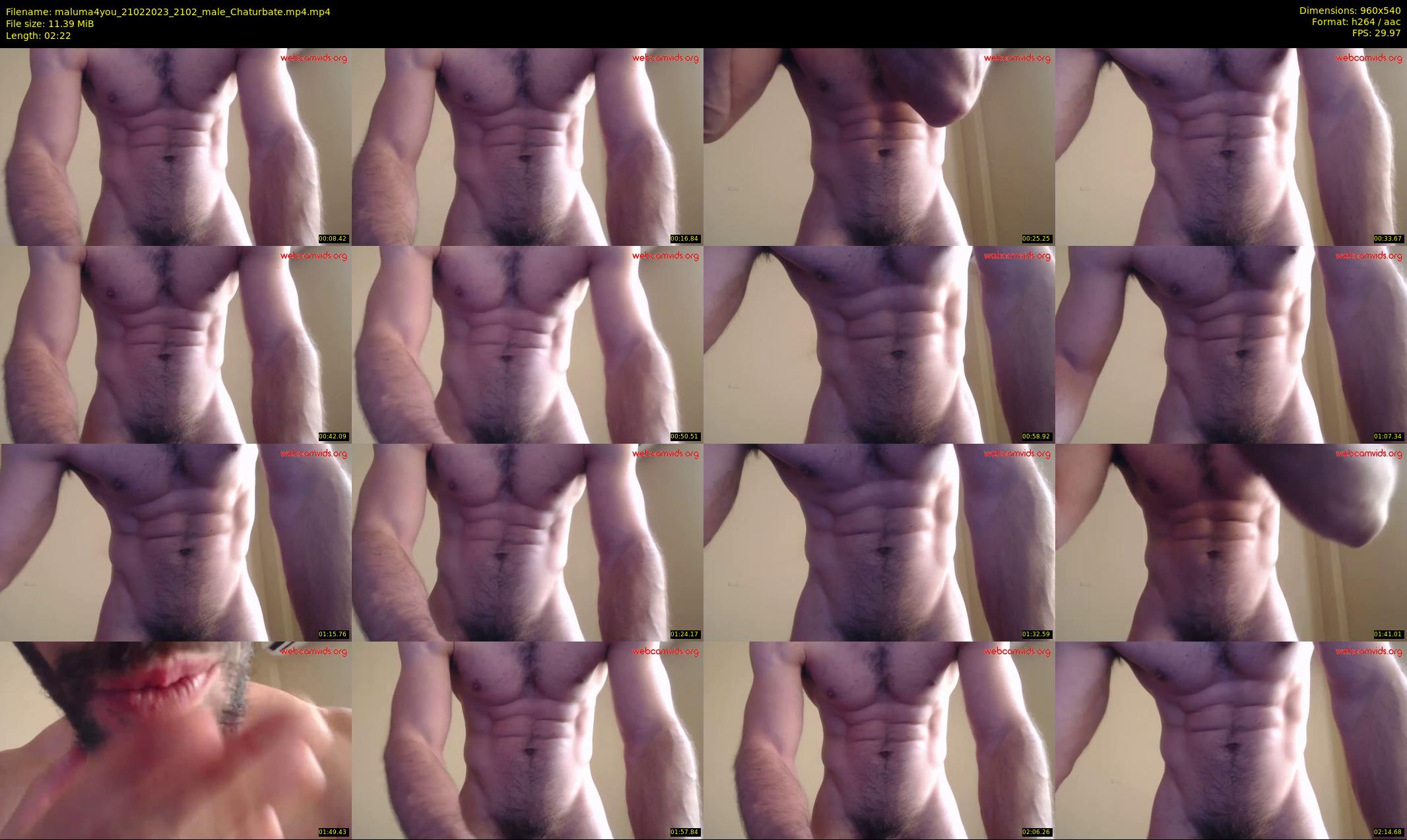 maluma4you — 3 minute Chaturbate male cam show recording, 480p, Feb 21, 2023