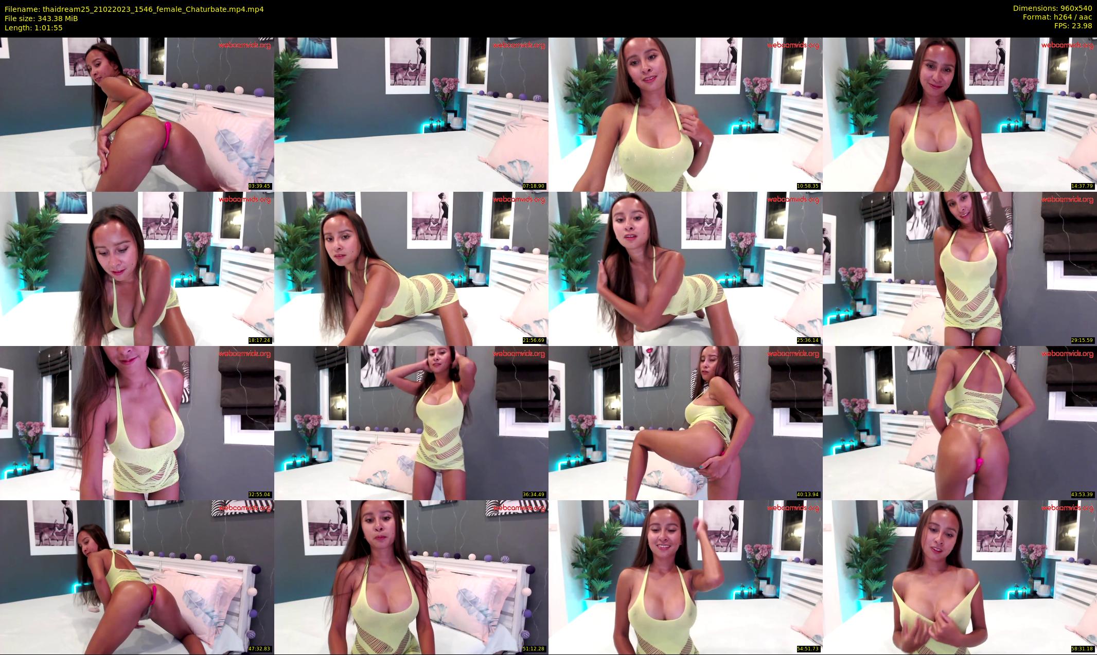 thaidream25 — 62 minute Chaturbate female cam show recording, 480p, Feb 21, 2023
