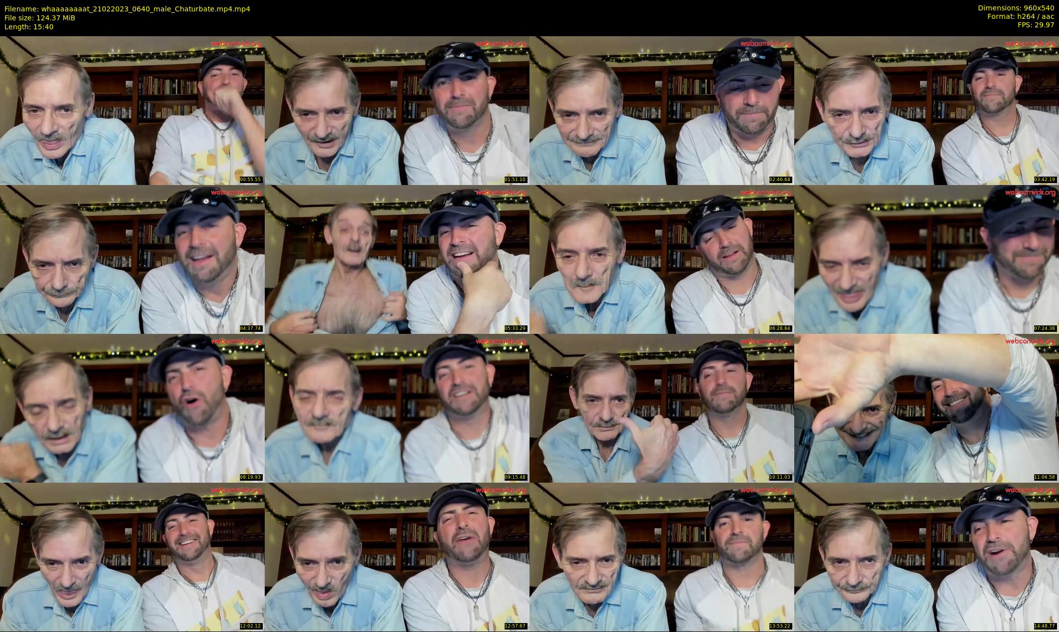 whaaaaaaaat — 16 minute Chaturbate couple cam show recording, 480p, Feb 21, 2023