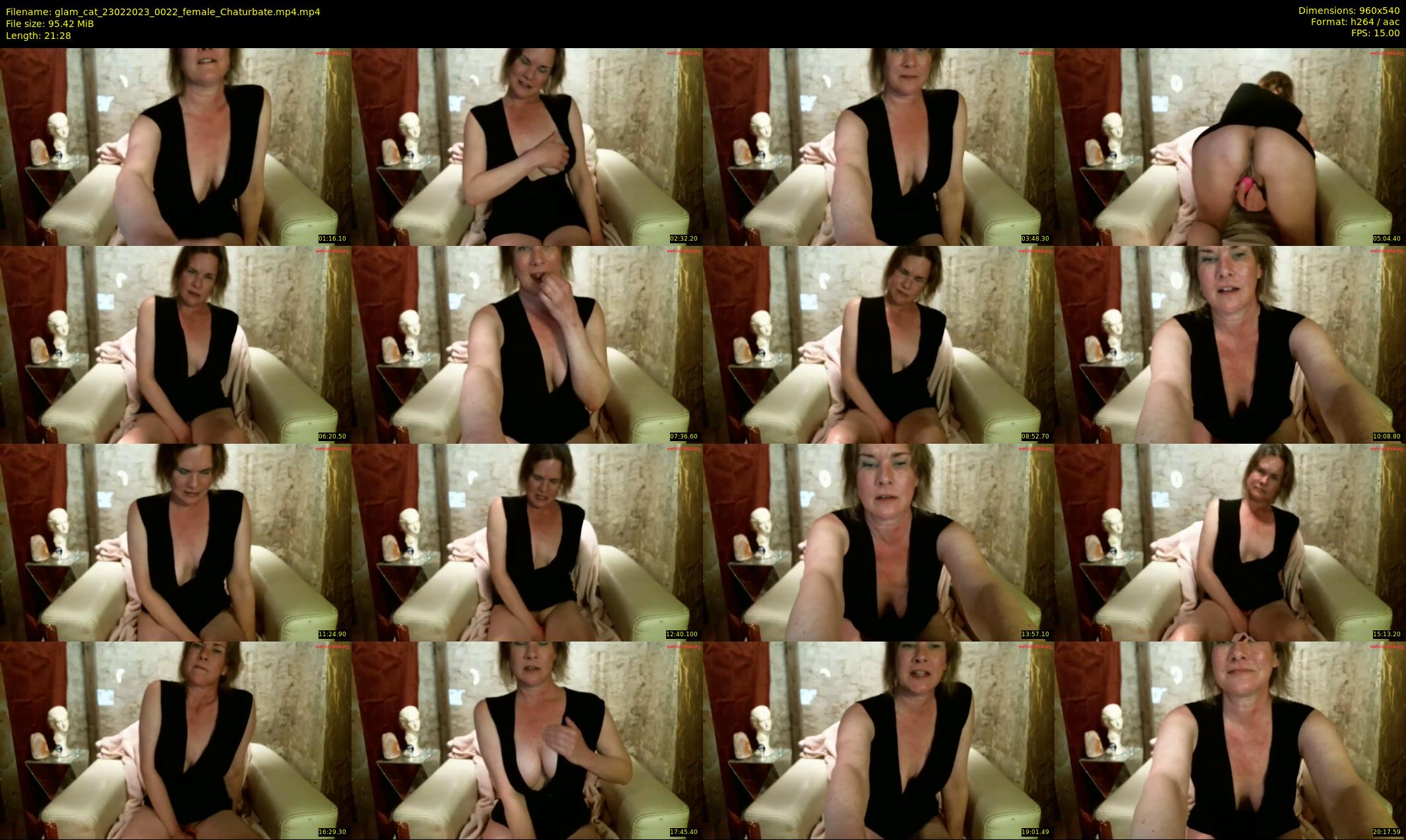 glam_cat — 22 minute Chaturbate female cam show recording, 480p, Feb 23, 2023