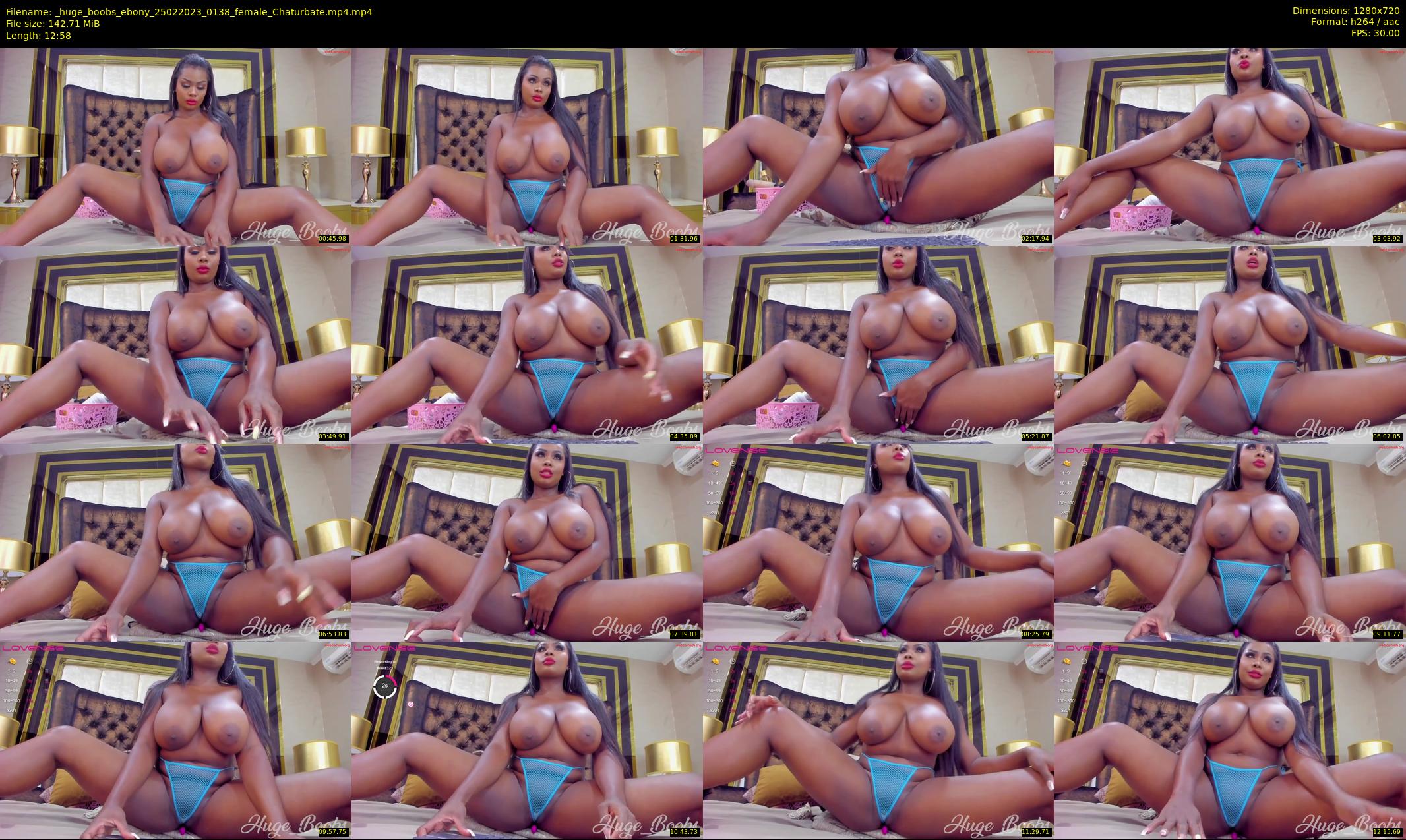 _huge_boobs_ebony — 13 minute Chaturbate female cam show recording, 720p, Feb 25, 2023