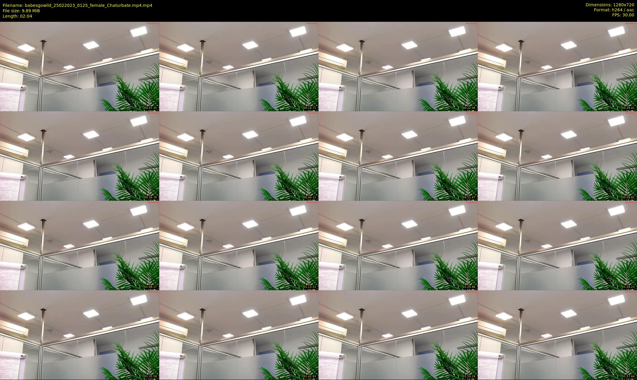 babesgowild — 3 minute Chaturbate couple cam show recording, 720p, Feb 25, 2023