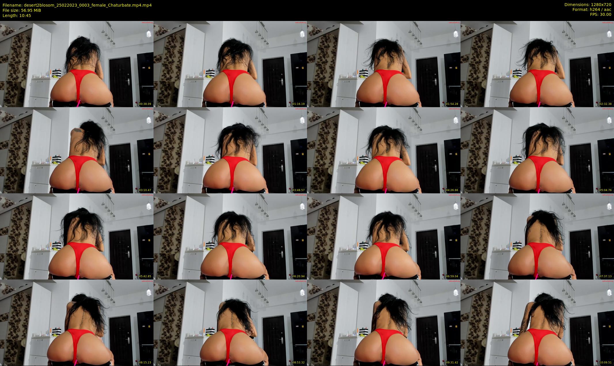 desert2blosom — 11 minute Chaturbate female cam show recording, 720p, Feb 25, 2023