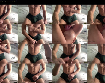 bestdick1991 — 11 minute Chaturbate male cam show recording, 720p, Feb 26, 2023