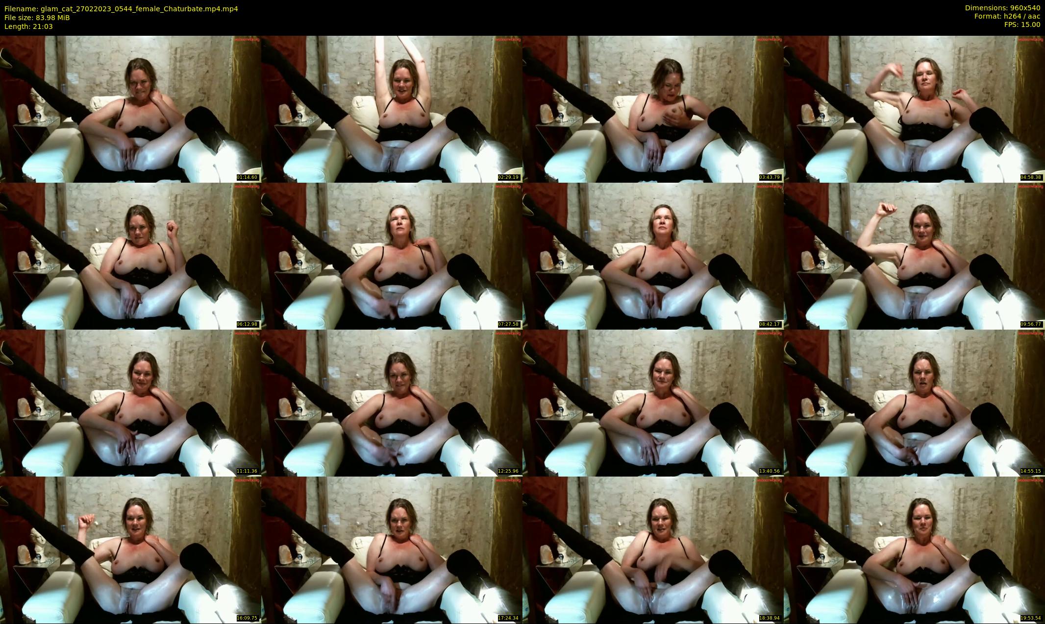 glam_cat — 22 minute Chaturbate female cam show recording, 480p, Feb 27, 2023