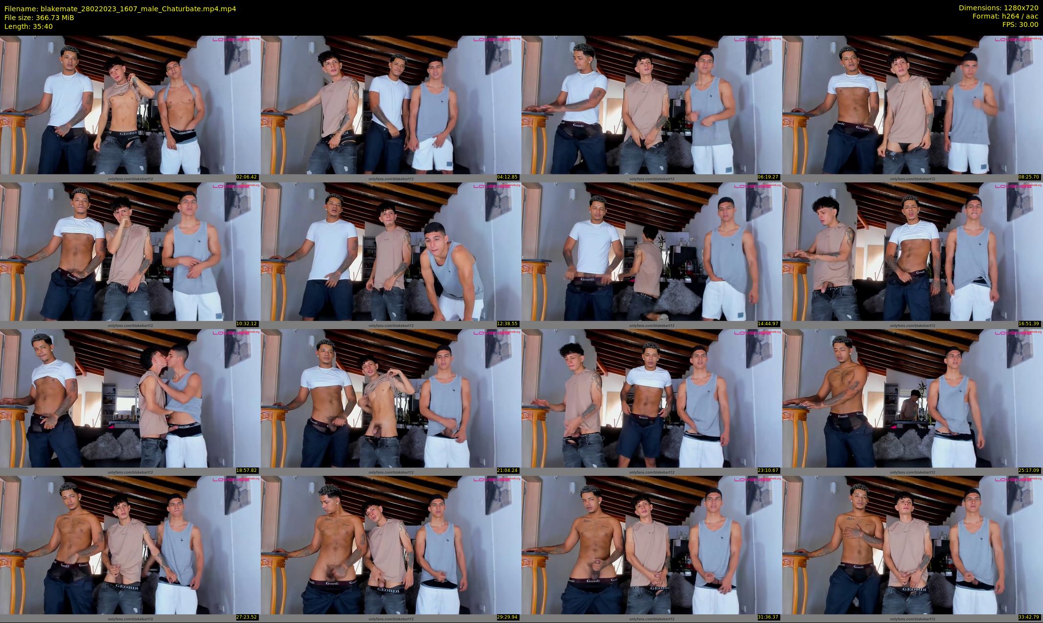 blakemate — 36 minute Chaturbate male cam show recording, 720p, Feb 28, 2023