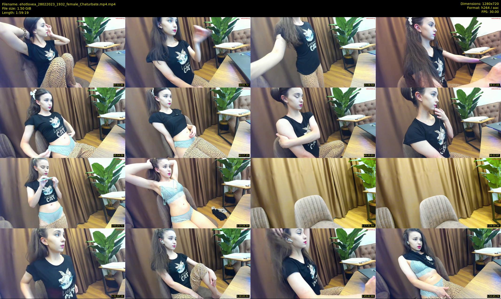 ehotlovea — 120 minute Chaturbate female cam show recording, 720p, Feb 28, 2023
