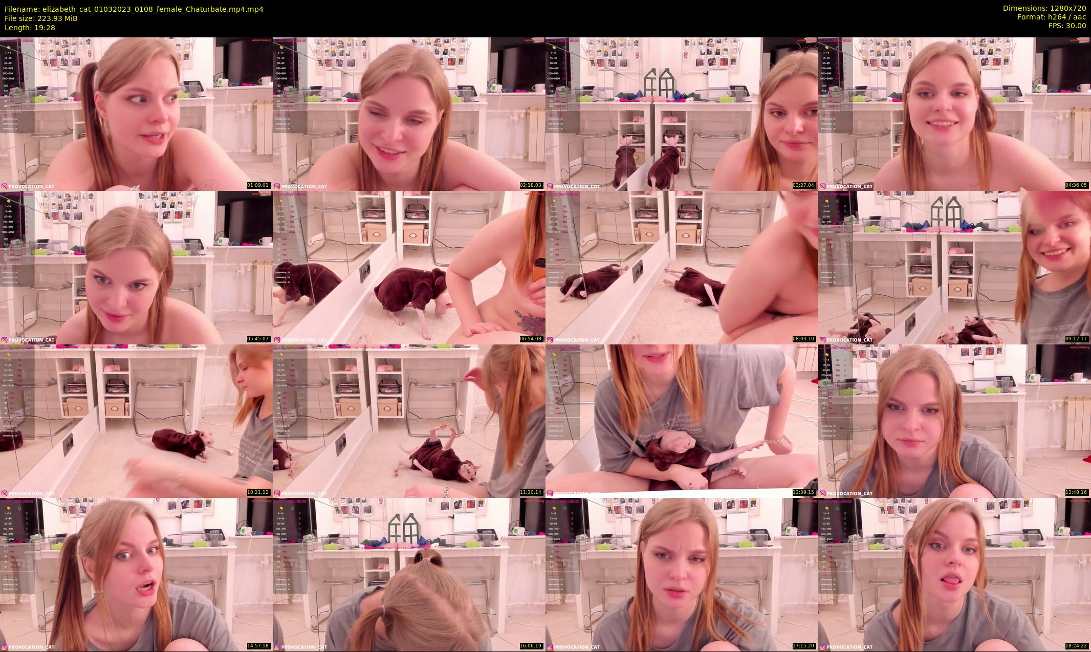 elizabeth_cat — 20 minute Chaturbate female cam show recording, 720p, Mar 1, 2023