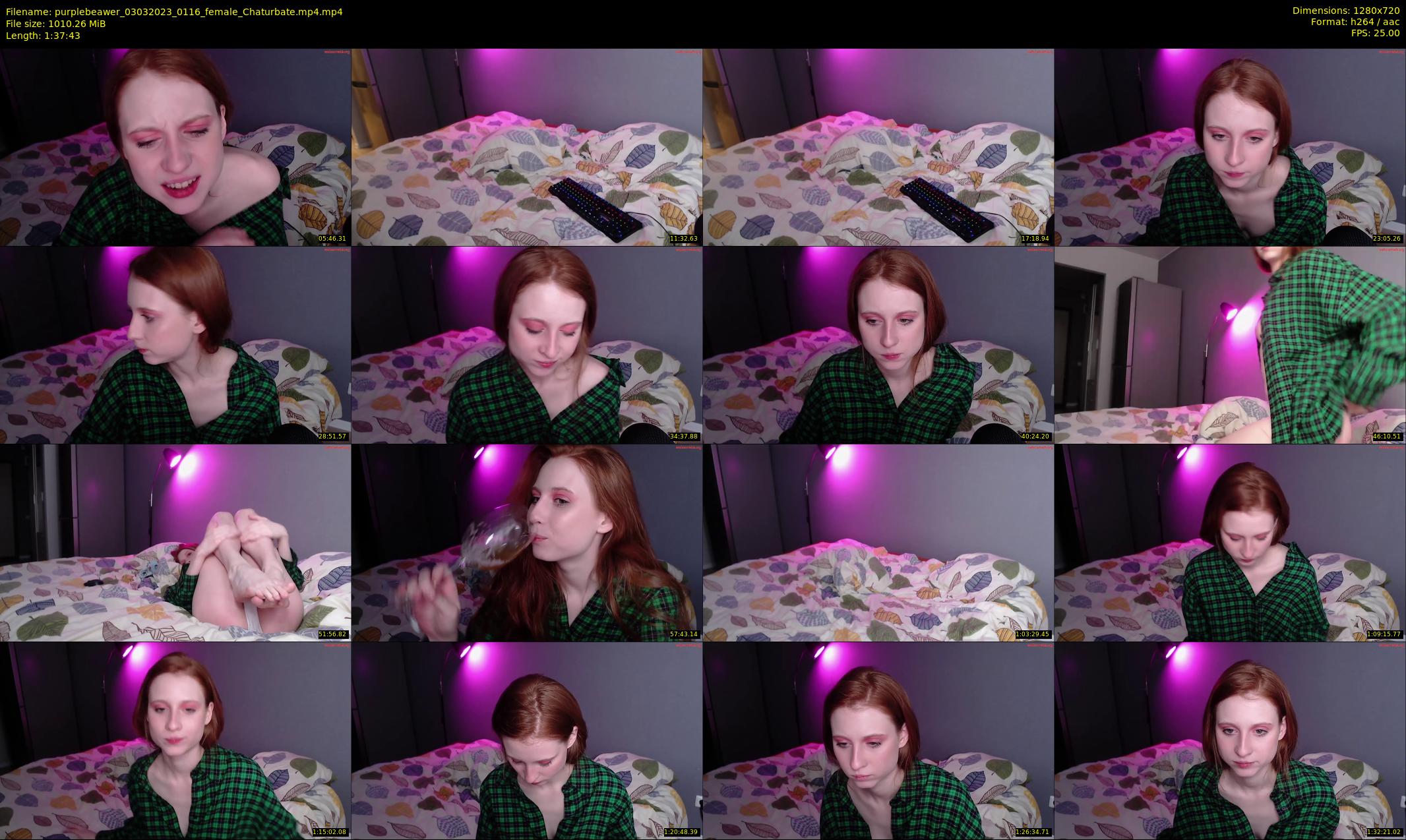 purplebeawer — 98 minute Chaturbate female cam show recording, 720p, Mar 3, 2023