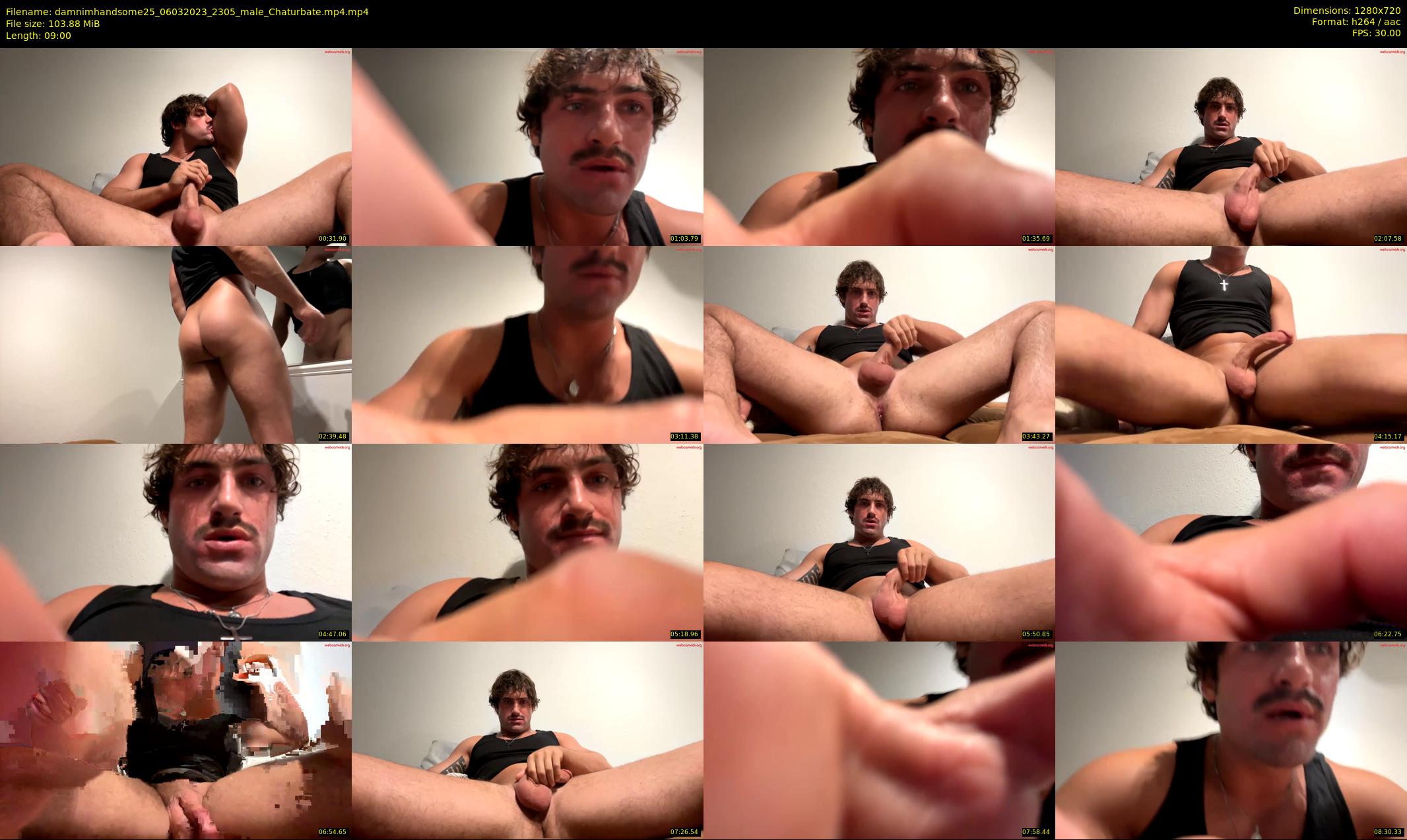 damnimhandsome25 — 9 minute Chaturbate male cam show recording, 720p, Mar 6, 2023