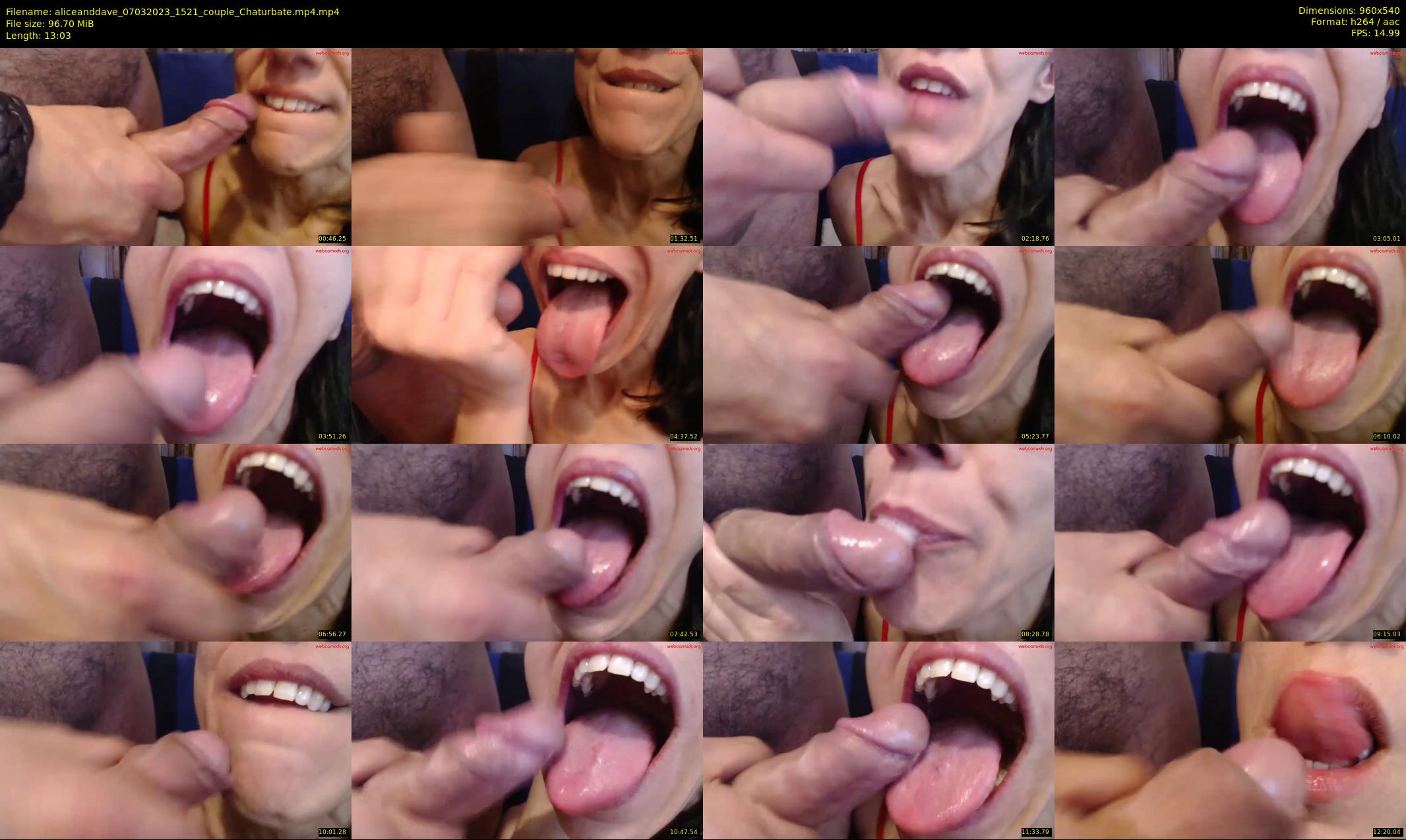 aliceanddave — 14 minute Chaturbate couple cam show recording, 480p, Mar 7, 2023